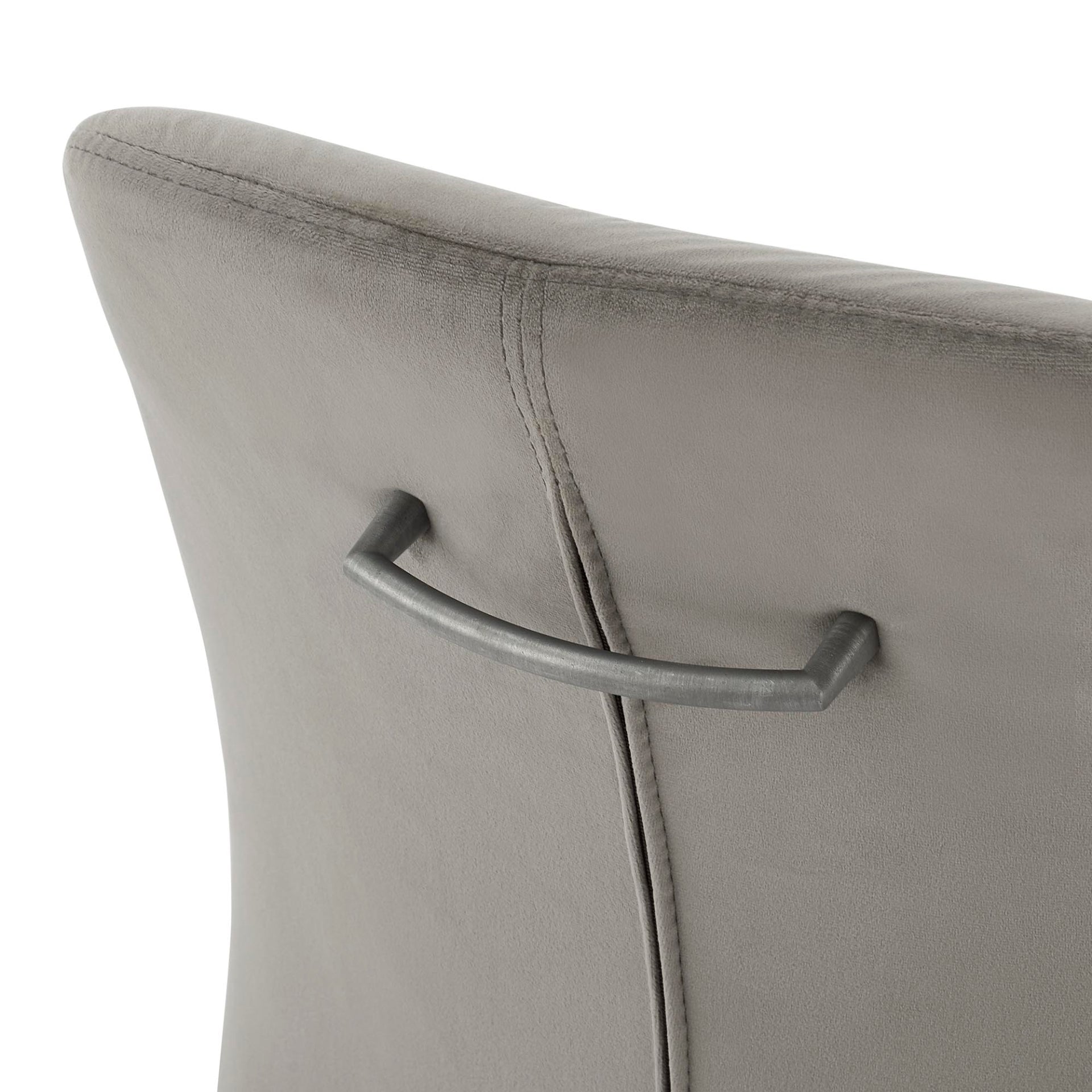 Raven  Velvet Dining Side Chair (Set of 2) - What A Room