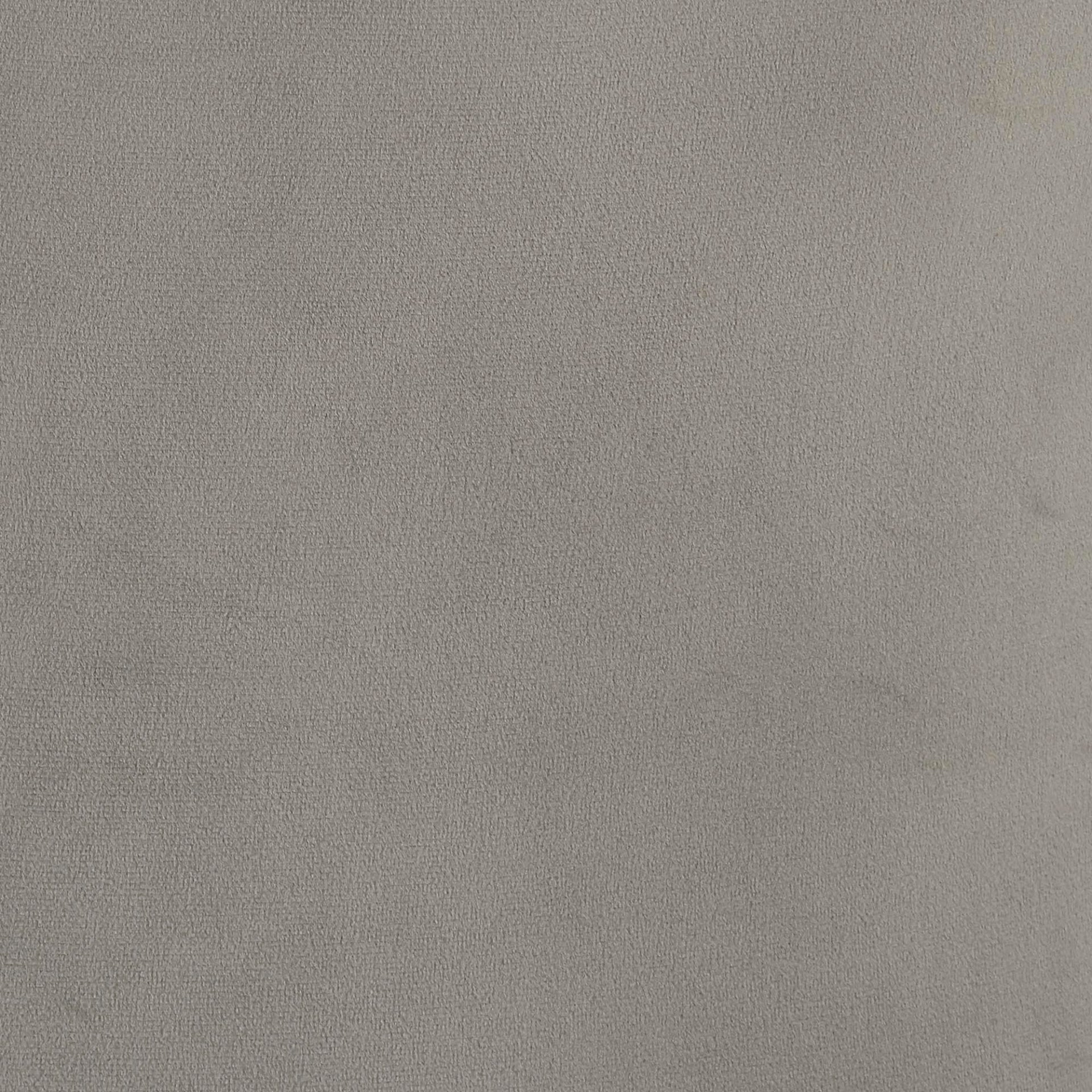 Raven  Velvet Dining Side Chair (Set of 2) - What A Room