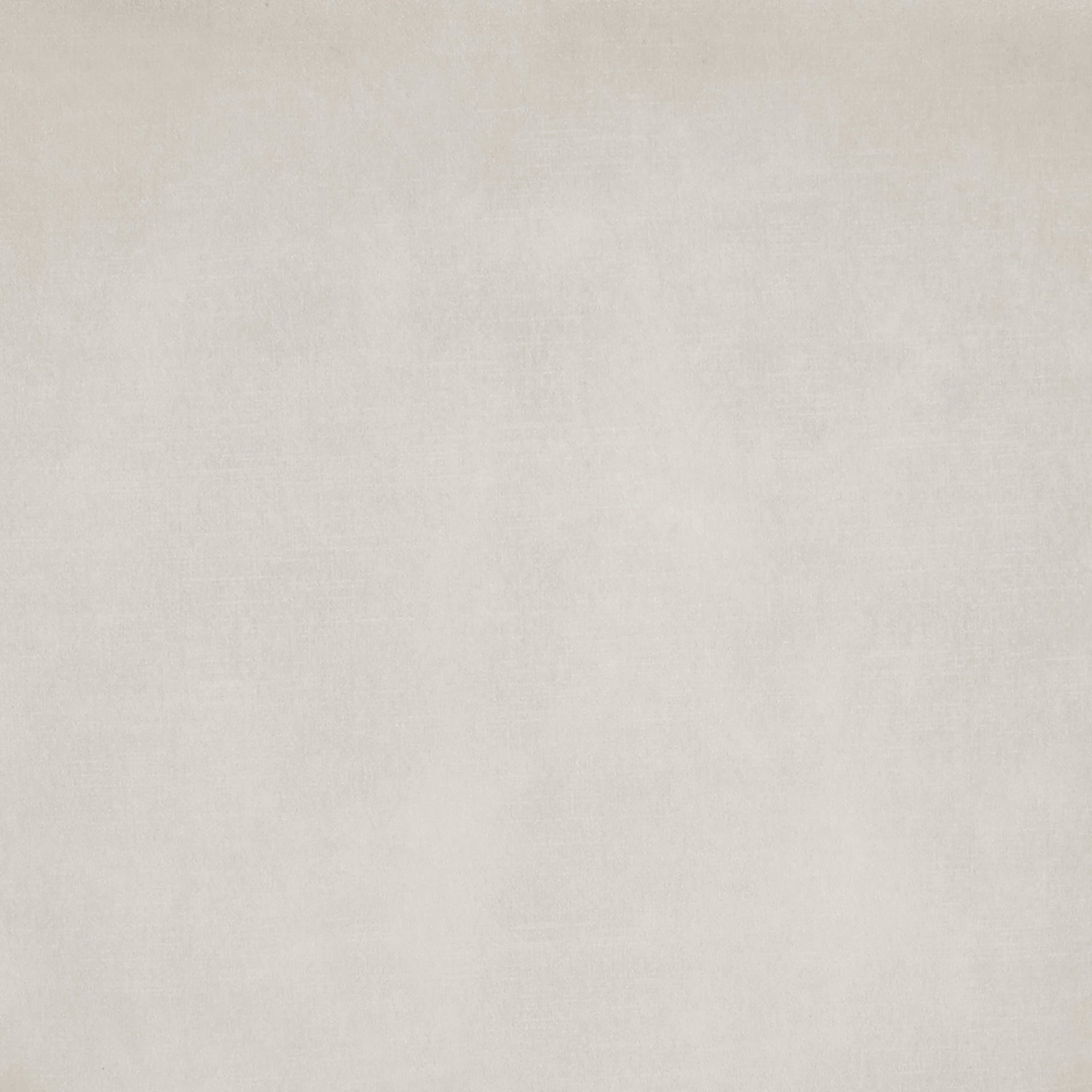 Keisha  Velvet Dining Side Chair (Set of 2) - What A Room