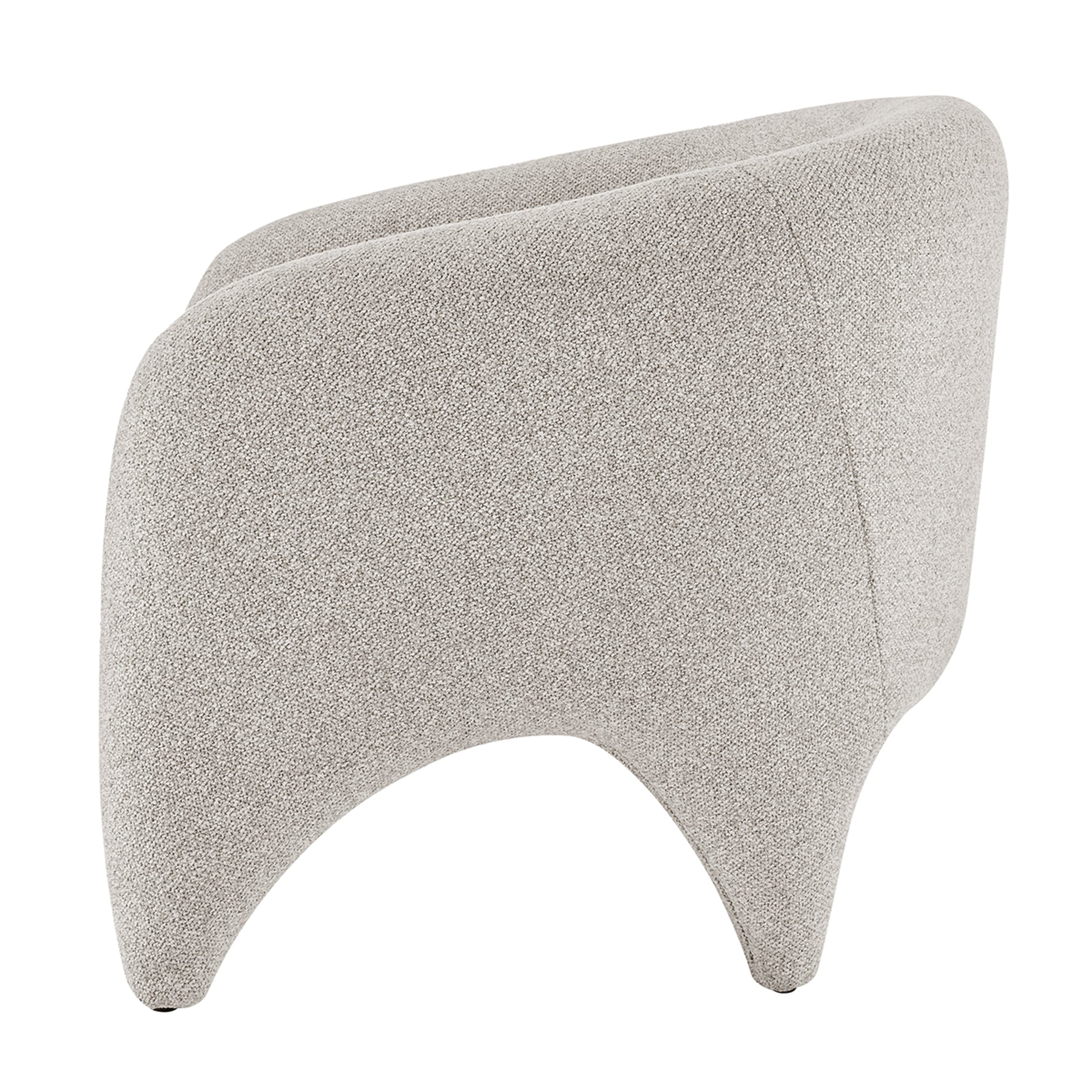 Carol Fabric Accent Arm Chair - What A Room