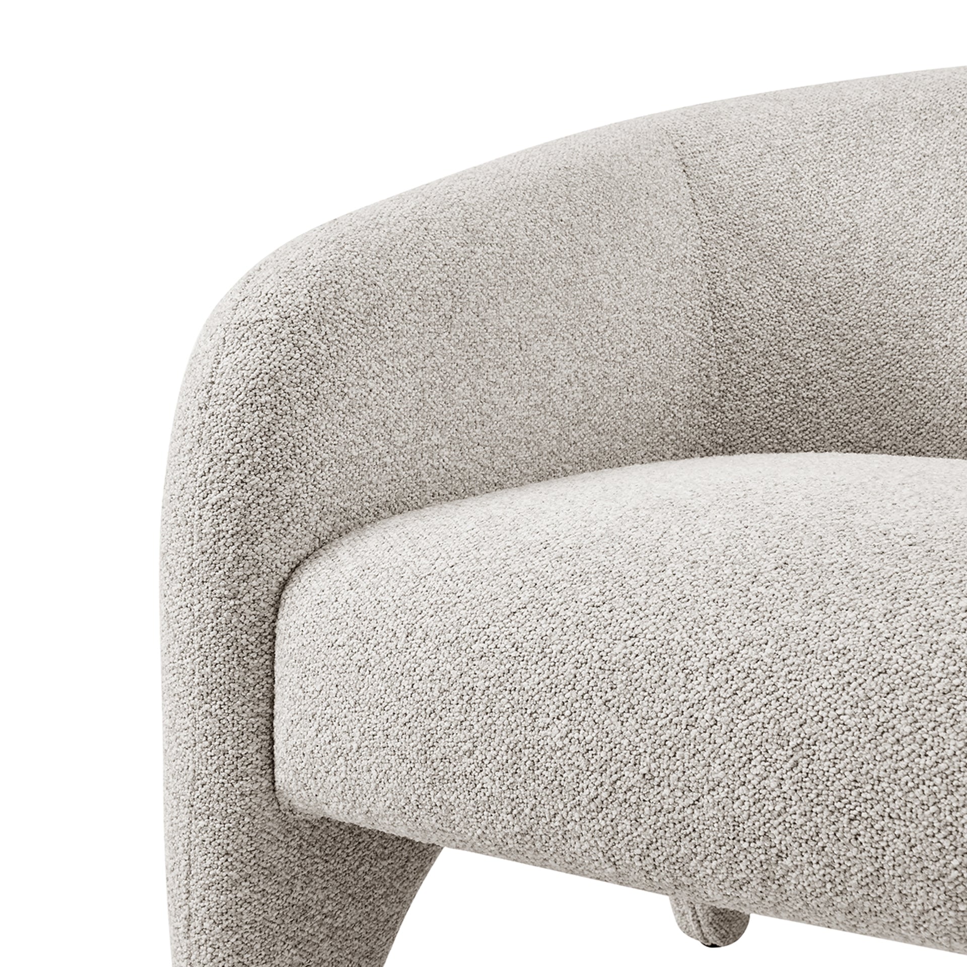 Carol Fabric Accent Arm Chair - What A Room