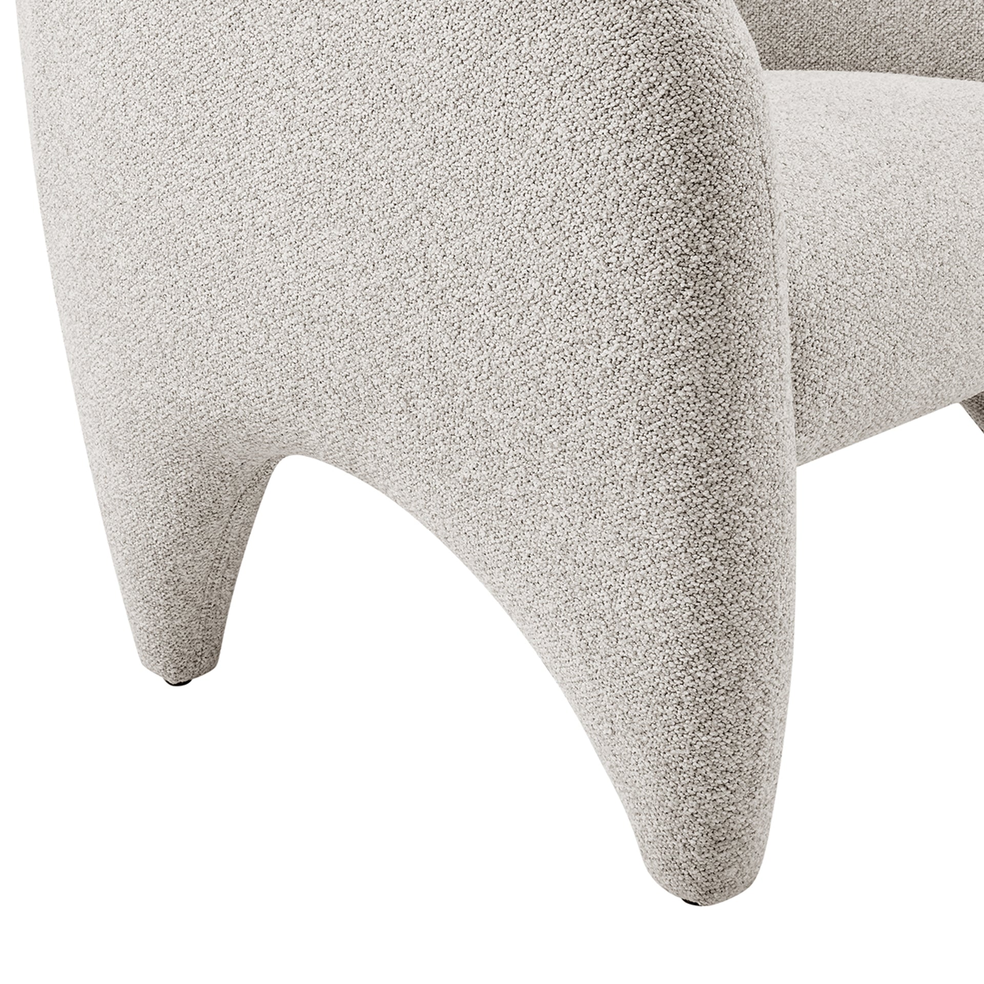 Carol Fabric Accent Arm Chair - What A Room