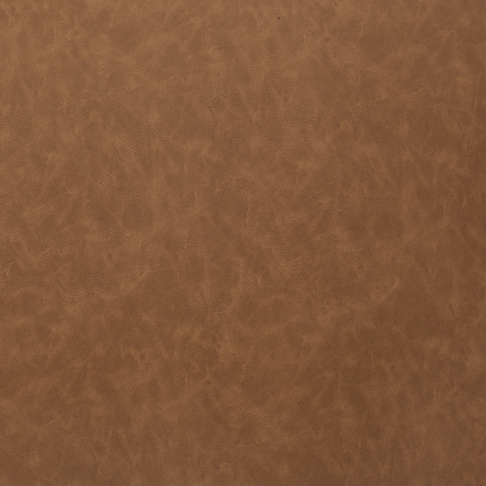 Cordelia  Accent Arm Chair - What A Room