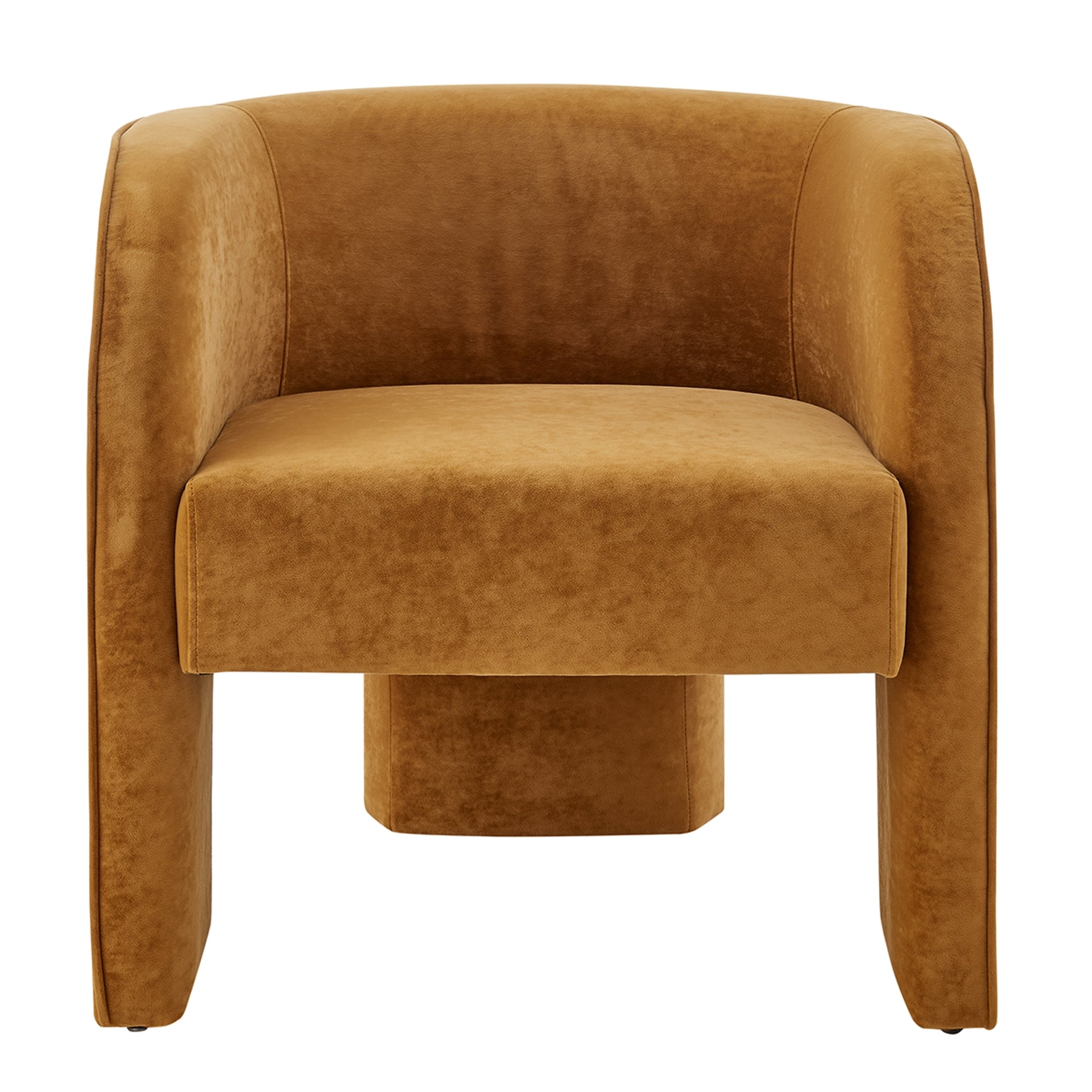 Matteo Velvet Accent Arm Chair - What A Room