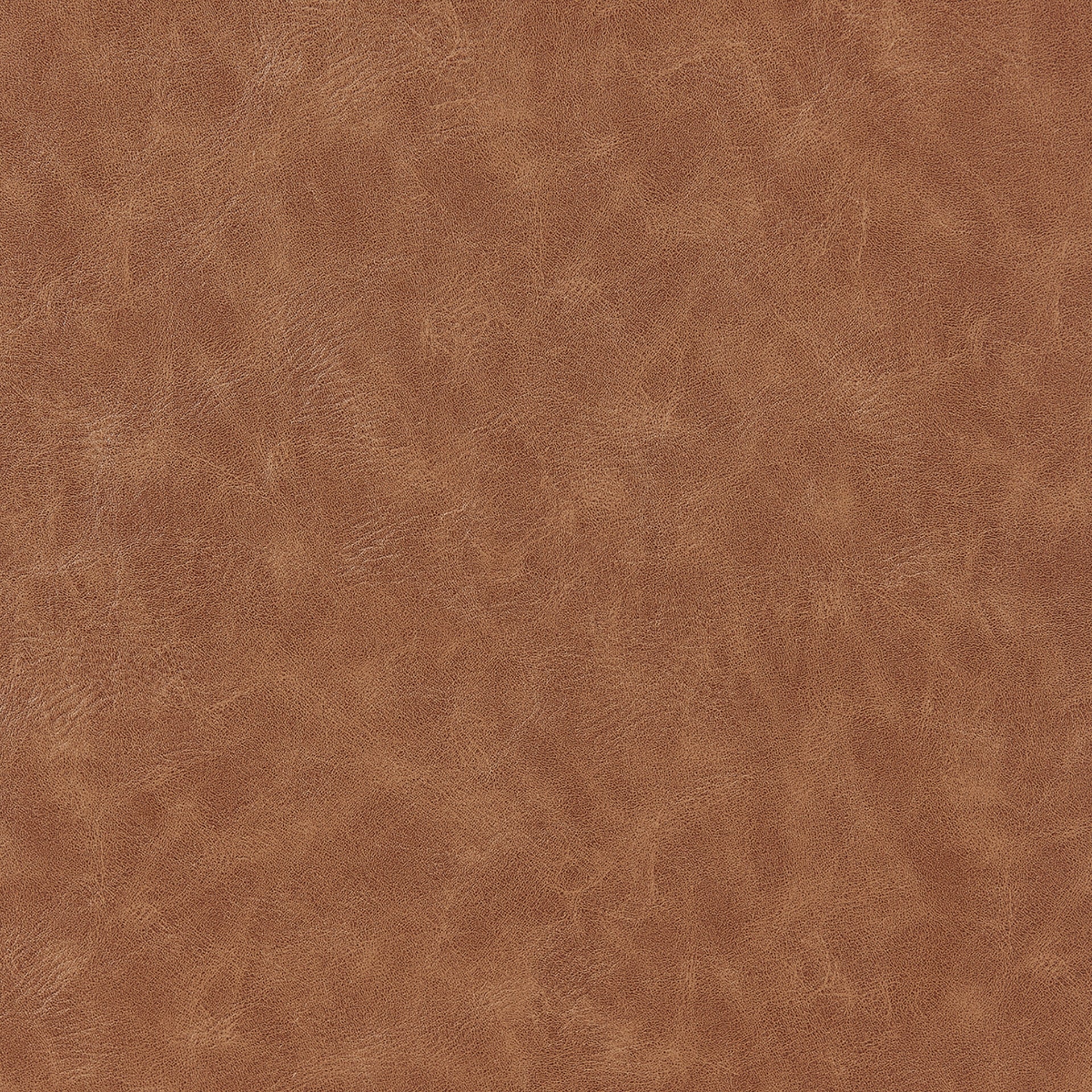 Ernest  Swivel Accent Arm Chair - What A Room