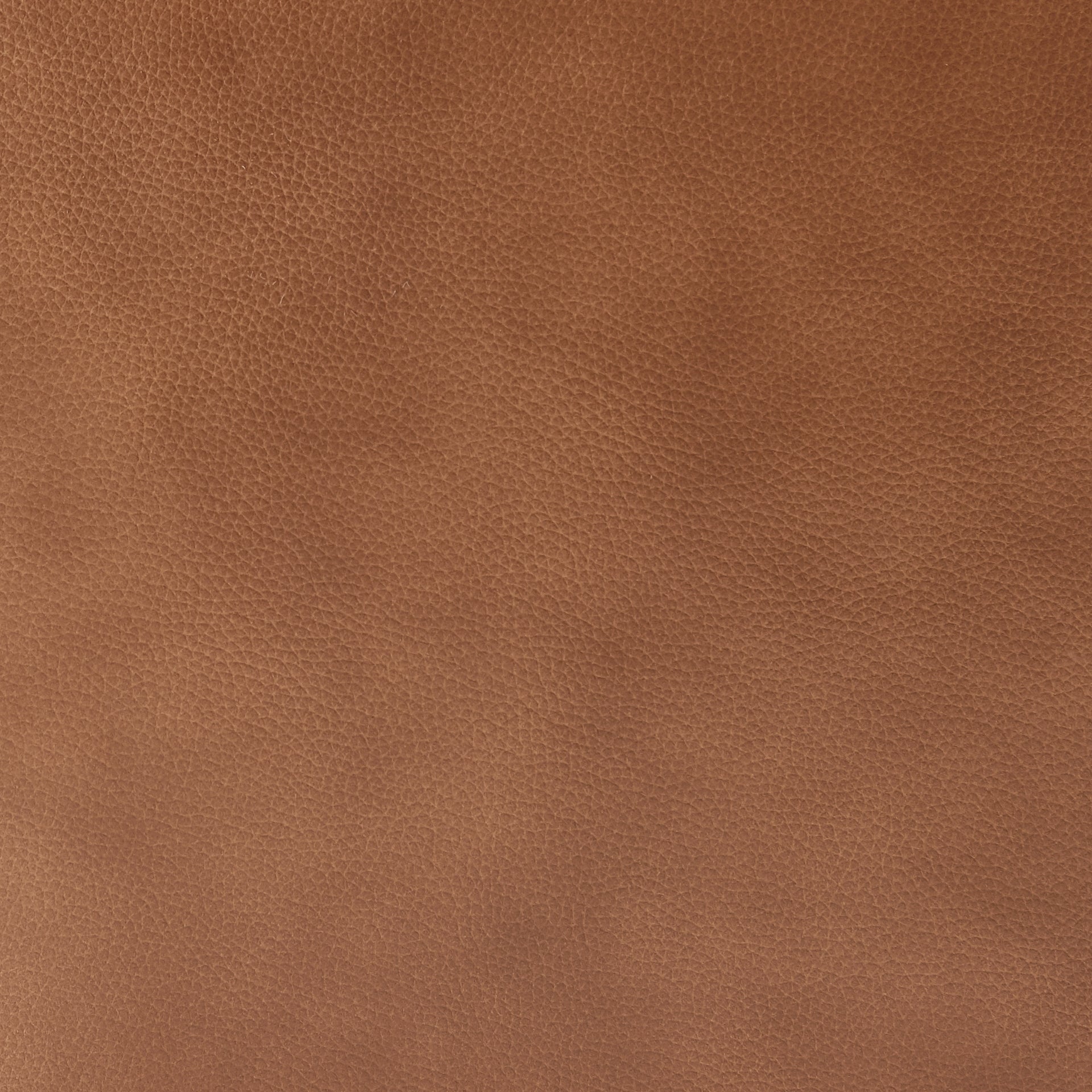 Tiffany  Top Grain Leather Accent Arm Chair - What A Room