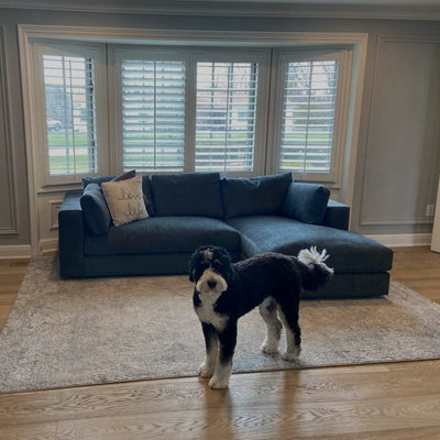 Daphne Chaise Sectional