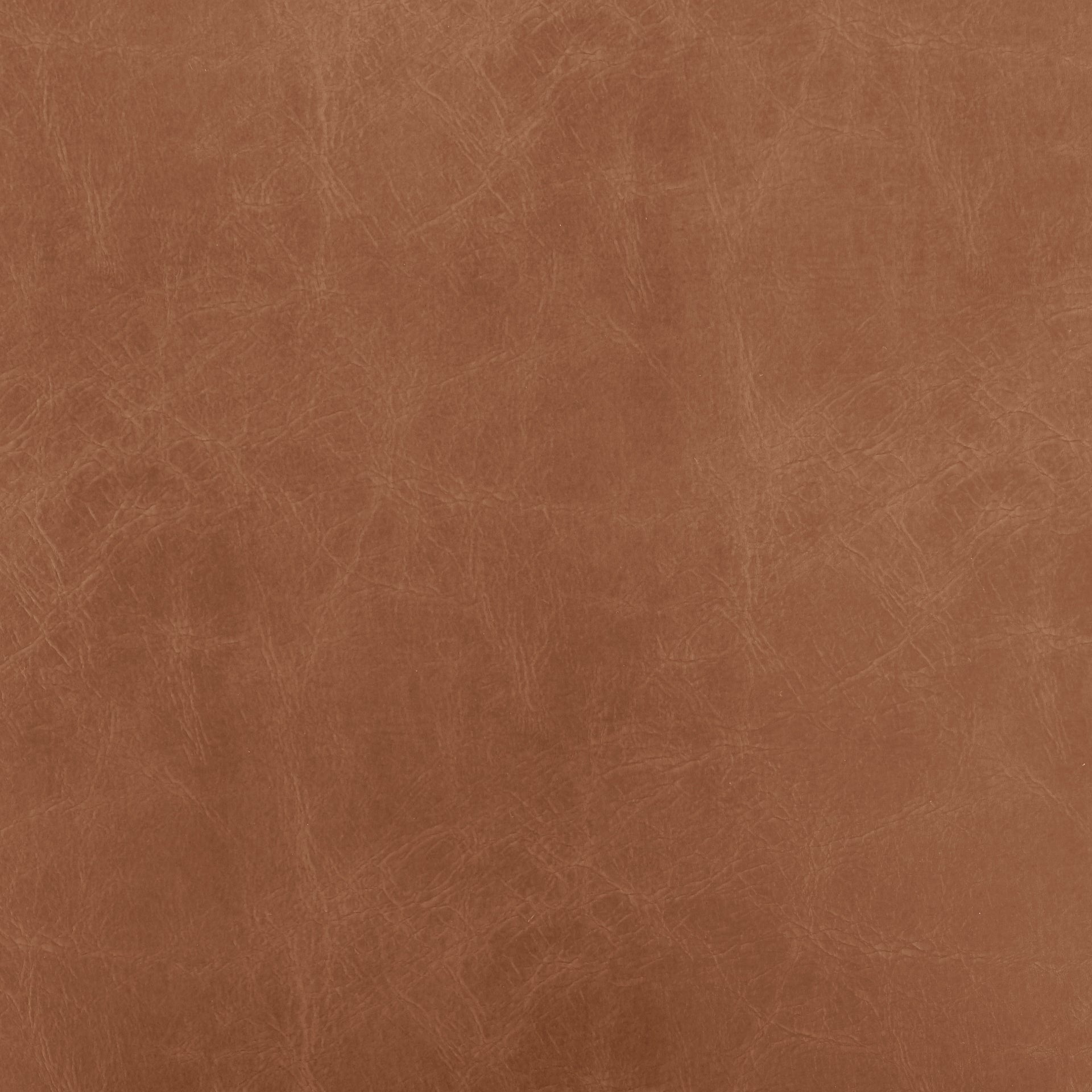 Melvin   Dining Side Chair (Set of 2) - What A Room