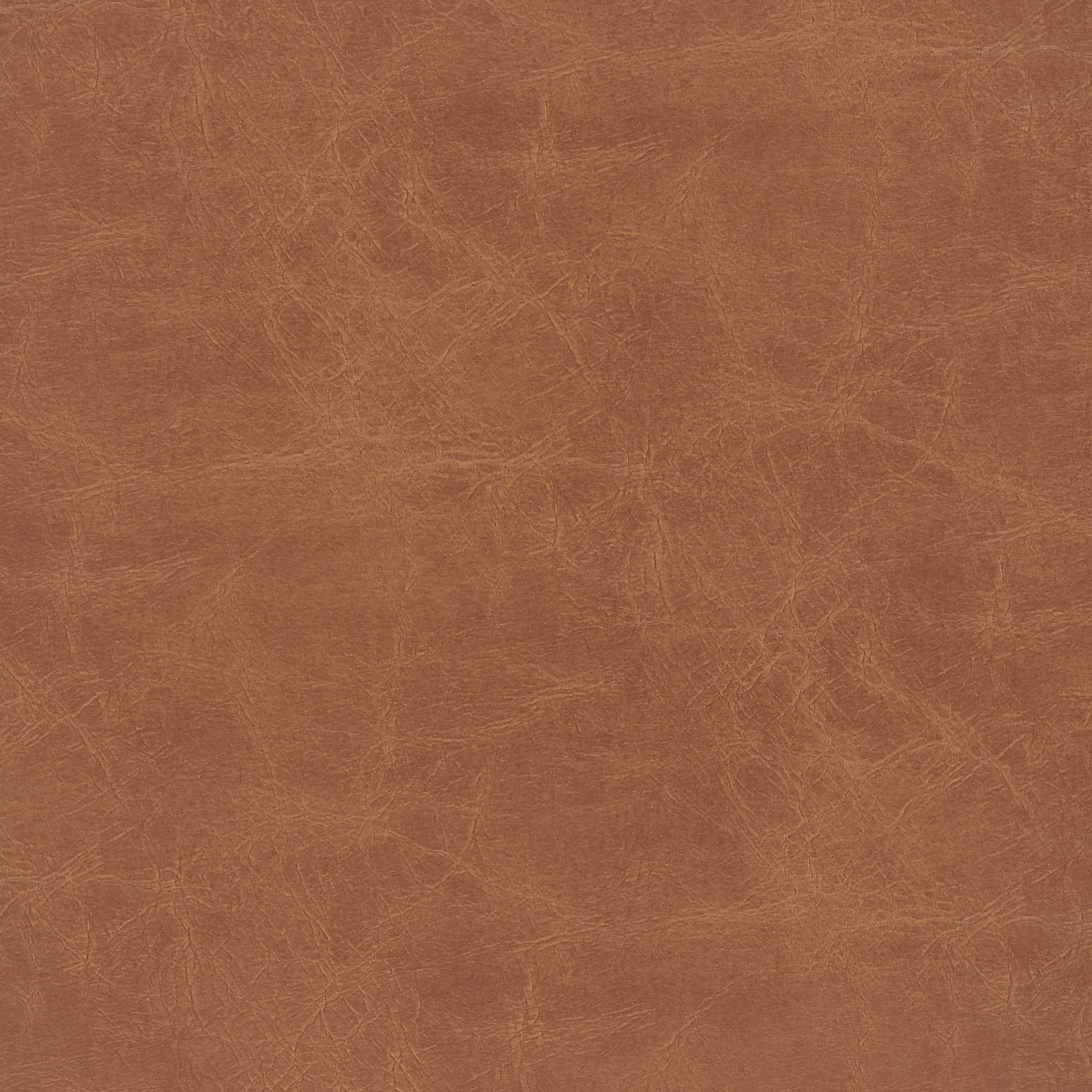 Donna   Counter Stool (Set of 2) - What A Room