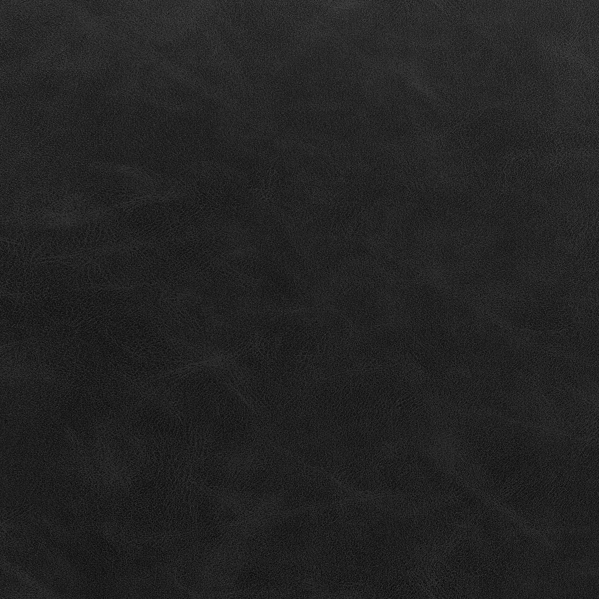 Amy  Dining Side Arm Chair (Set of 2) - What A Room