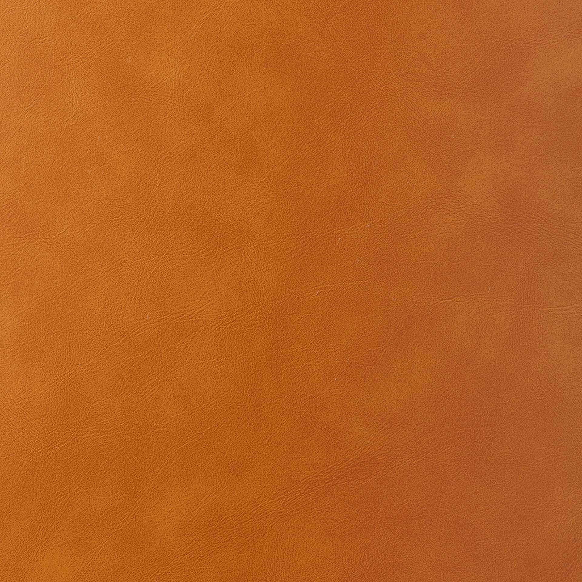 Shelby  Dining Side Chair (Set of 2) - What A Room