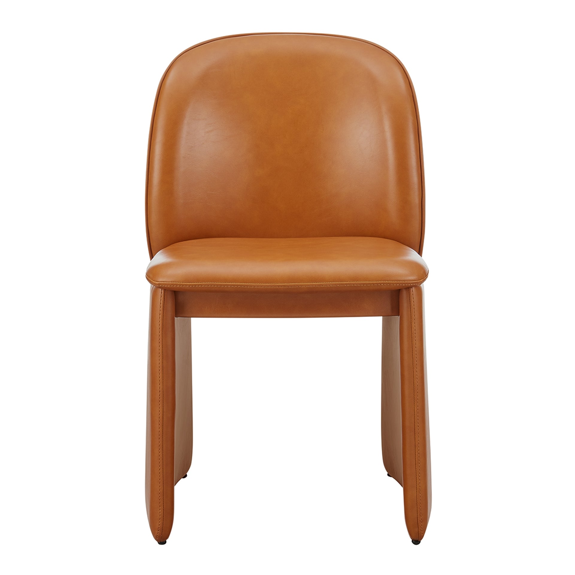 Shelby  Dining Side Chair (Set of 2) - What A Room