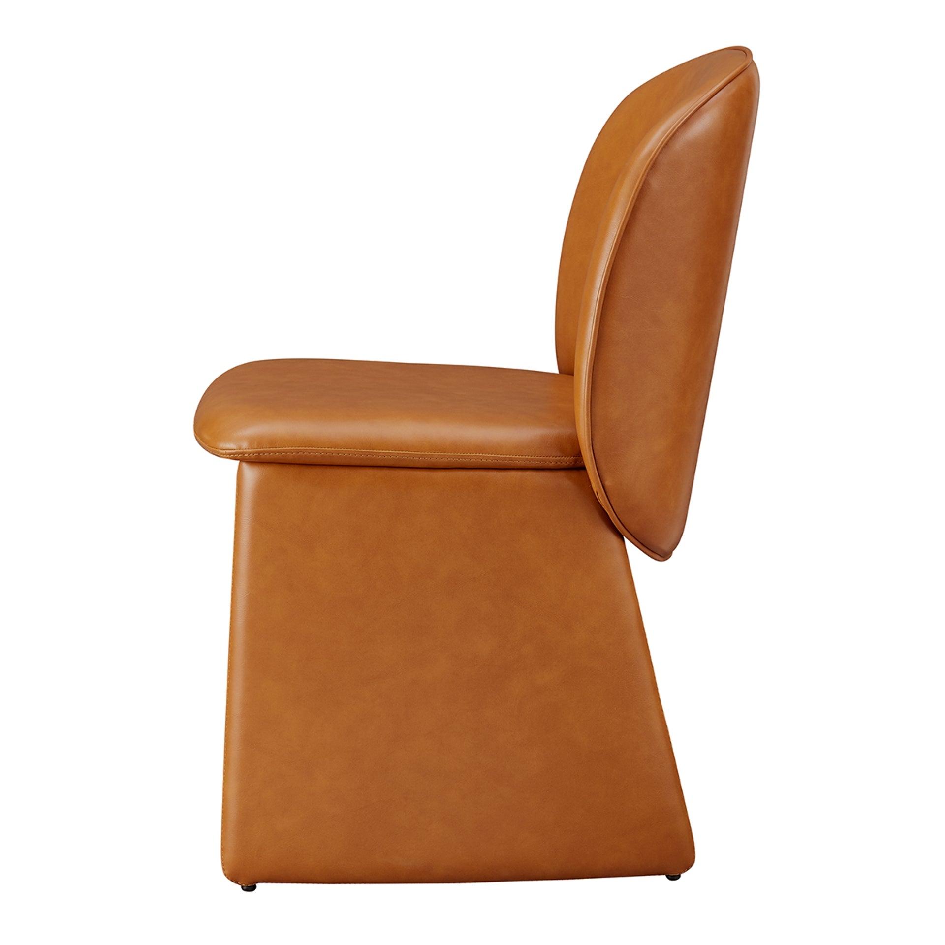 Shelby  Dining Side Chair (Set of 2) - What A Room