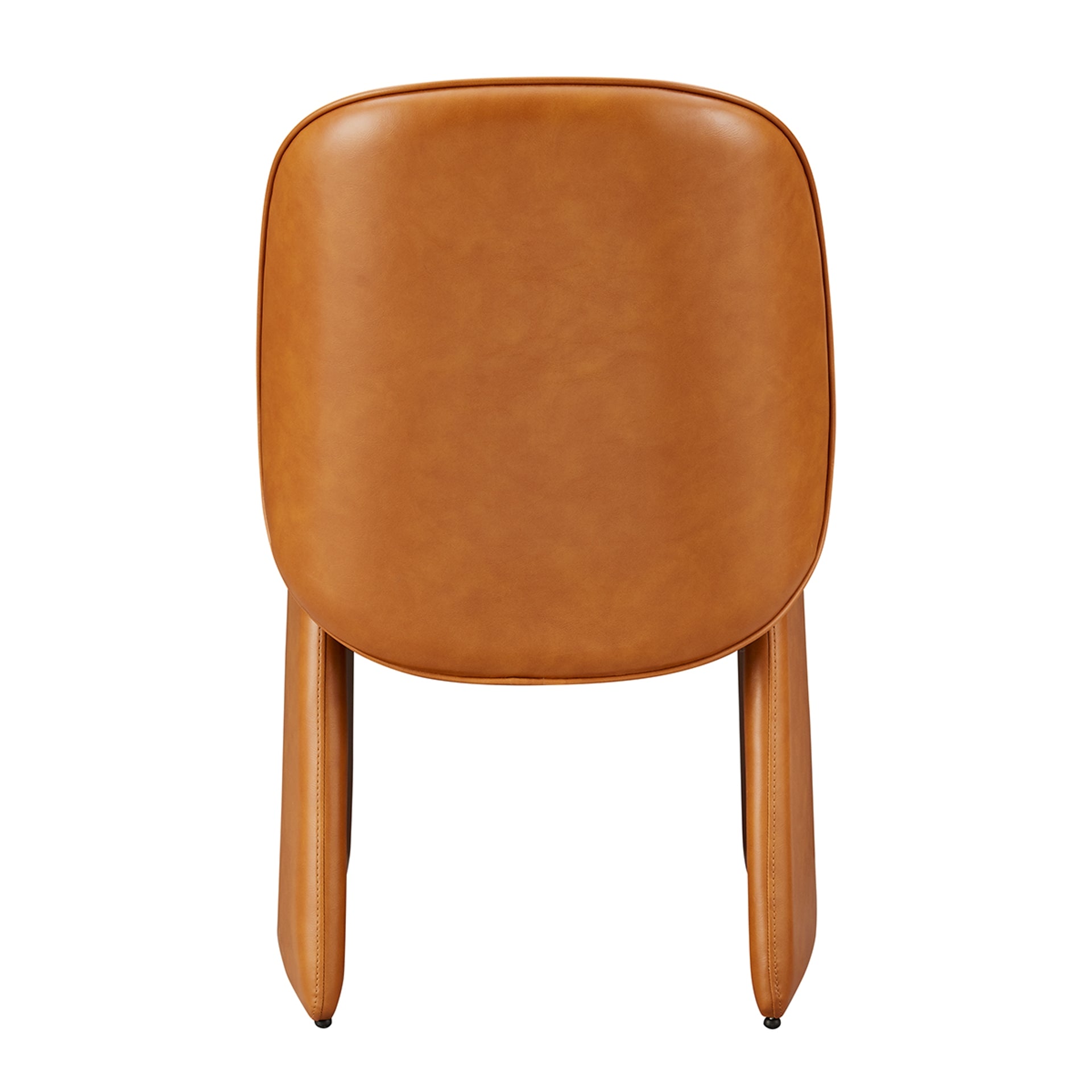 Shelby  Dining Side Chair (Set of 2) - What A Room