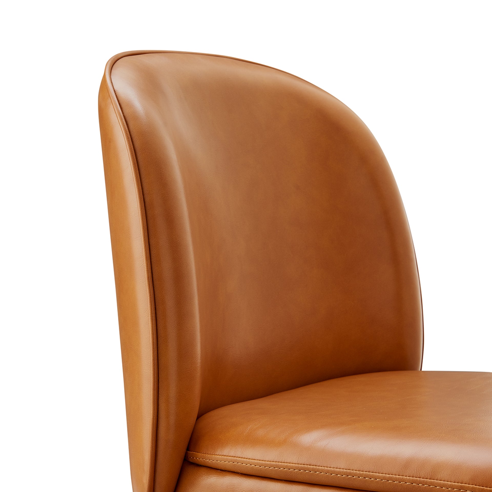 Shelby  Dining Side Chair (Set of 2) - What A Room