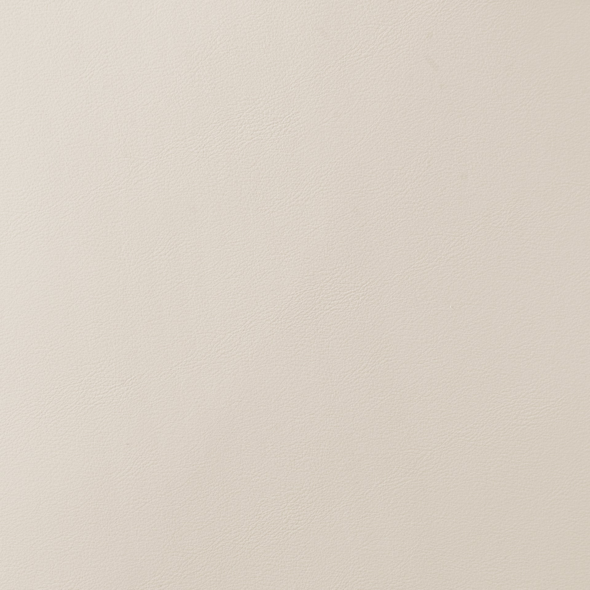 Shelby  Dining Side Chair (Set of 2) - What A Room