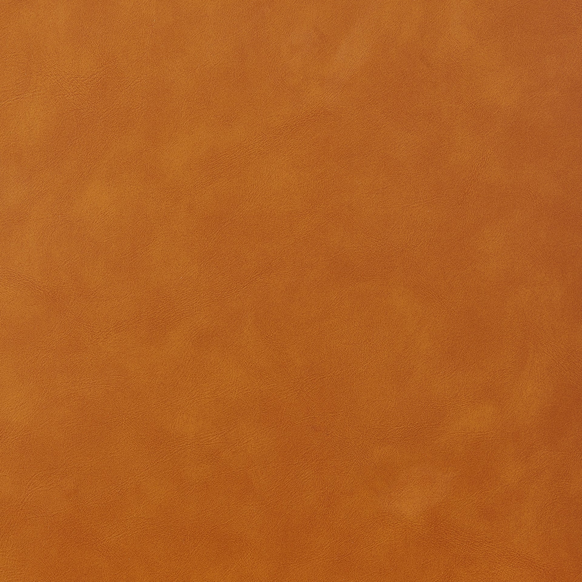 Elodie   Dining Side Chair (Set of 2) - What A Room