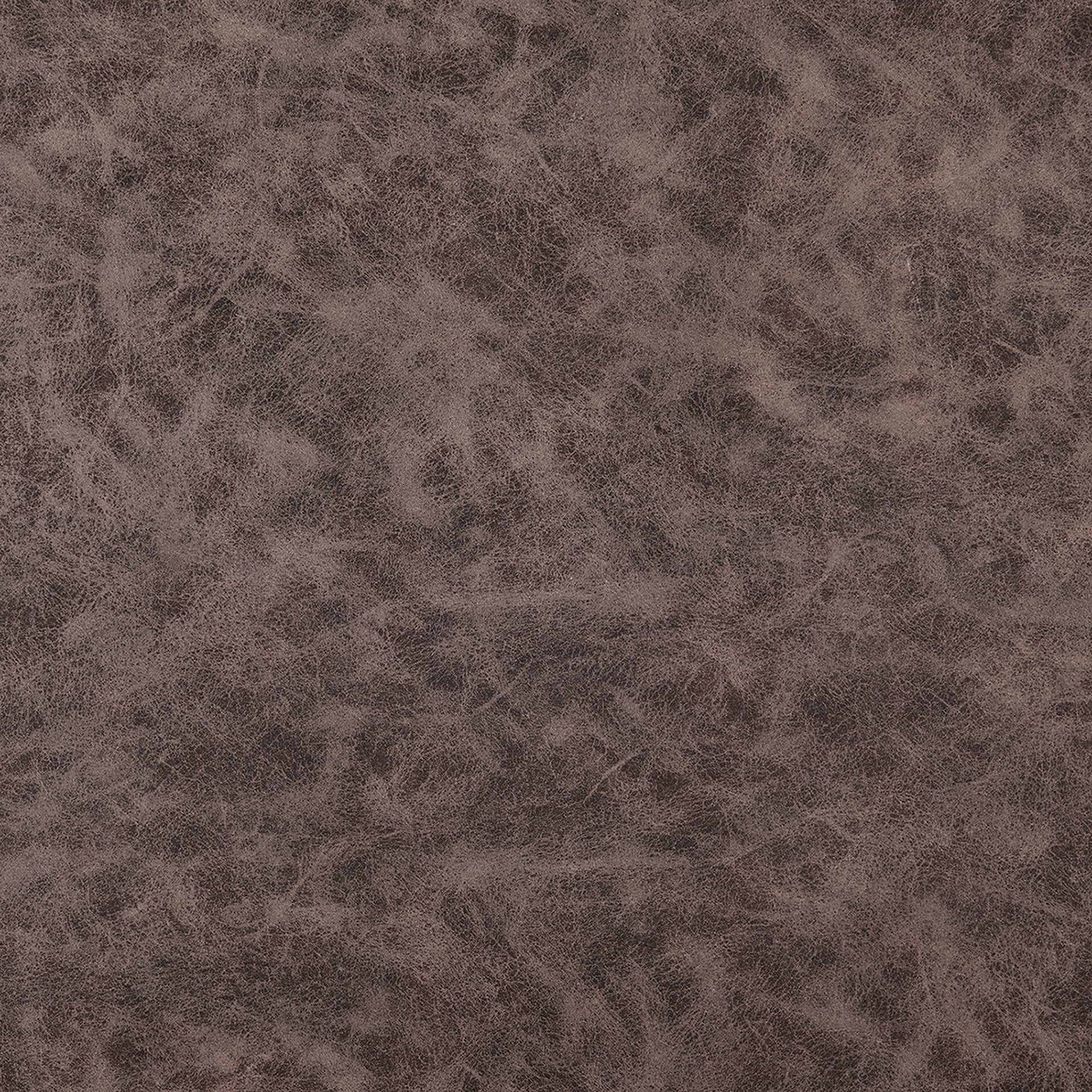 Jayden   Counter Stool (Set of 2) - What A Room