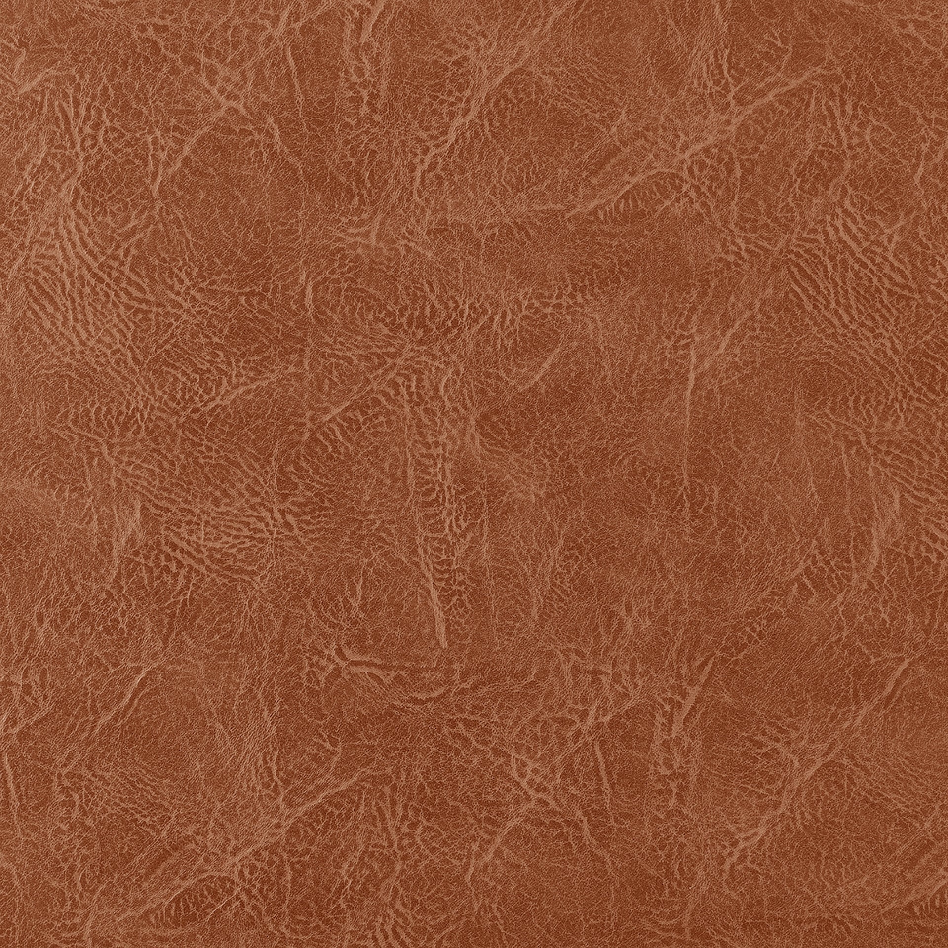 Bruce   Dining Side Chair (Set of 2) - What A Room