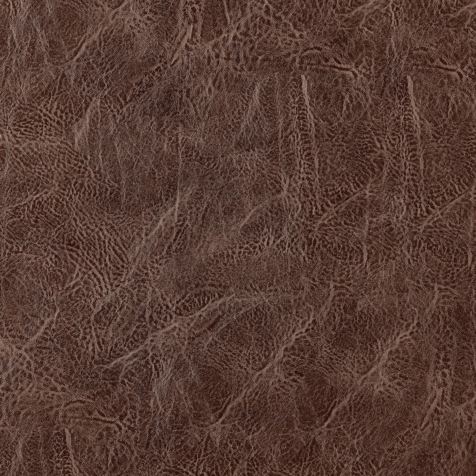 Zander   Counter Stool (Set of 4) - What A Room