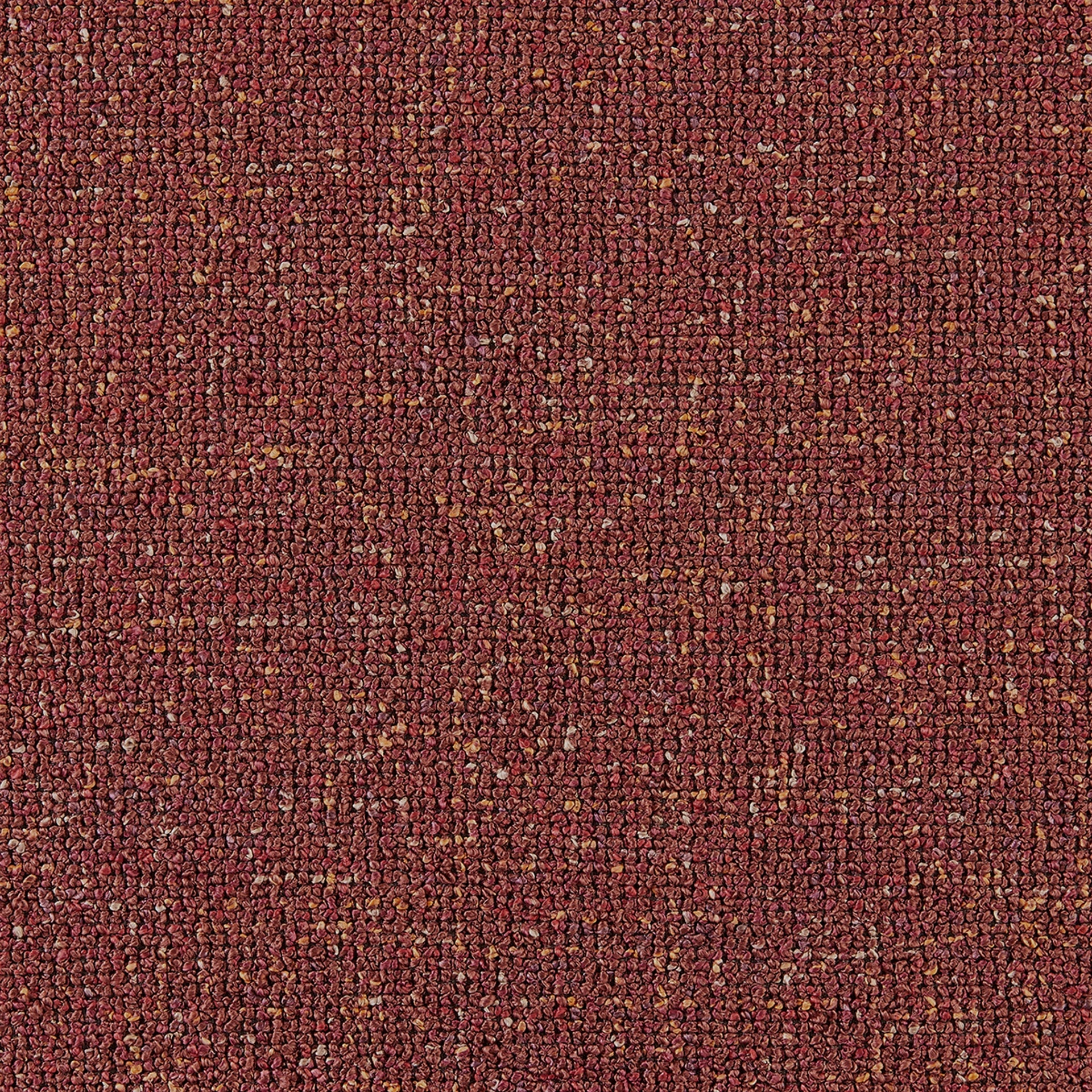 Zander  Fabric Counter Stool (Set of 4) - What A Room