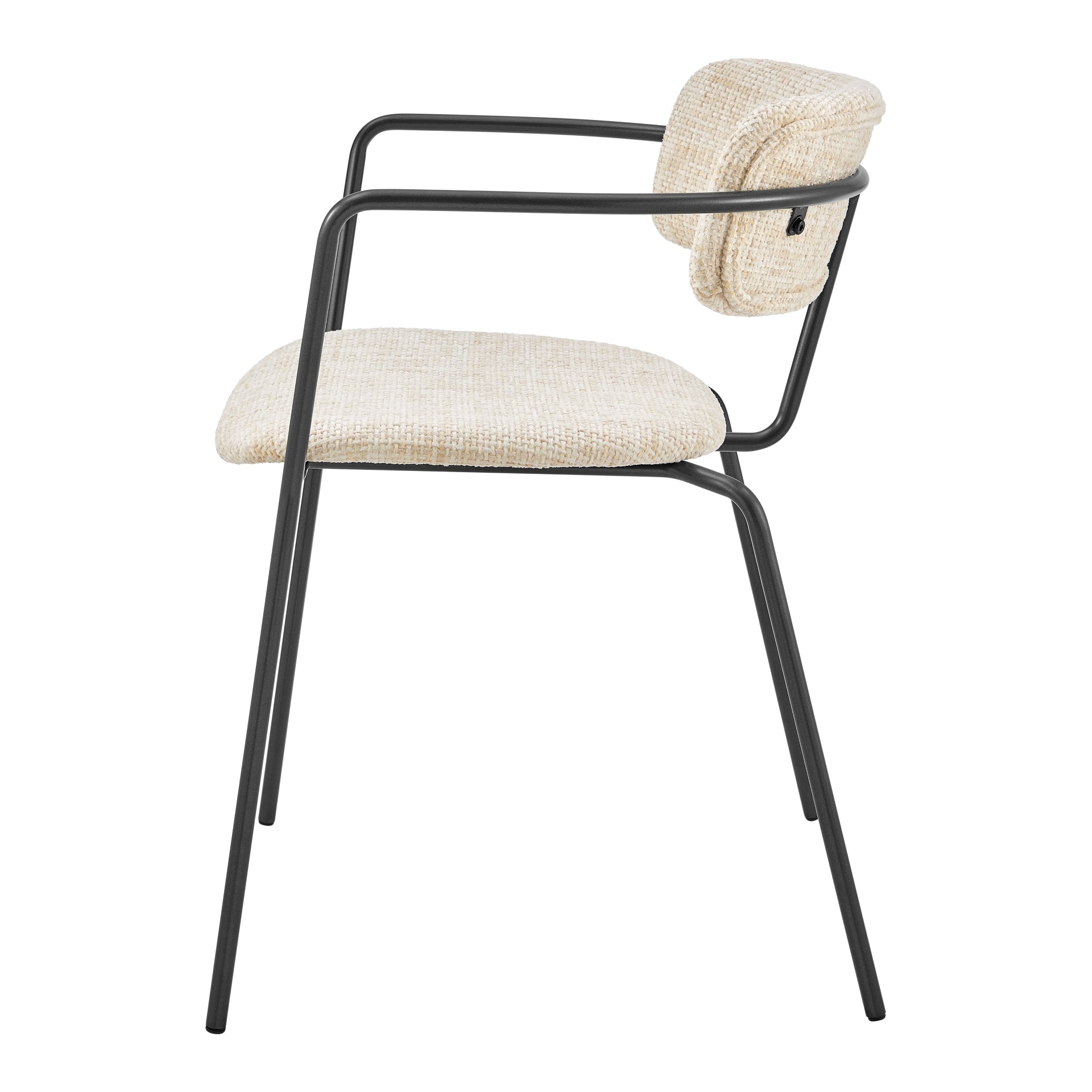 Alivia  Fabric Dining Side Arm Chair (Set of 2) - What A Room