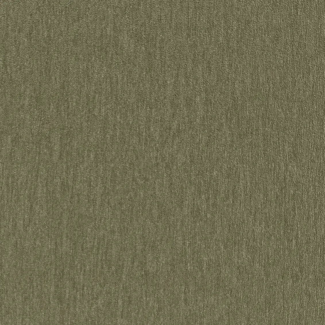 Amici Fern - What A Room