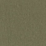 Amici Fern - What A Room