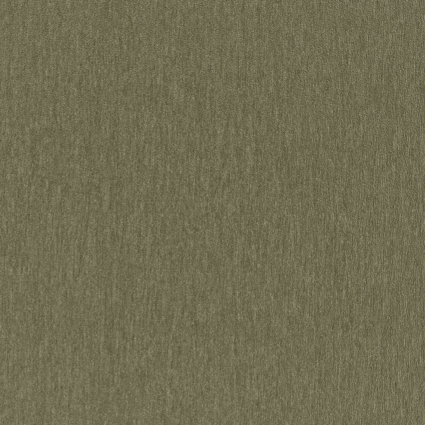 Amici Fern - What A Room