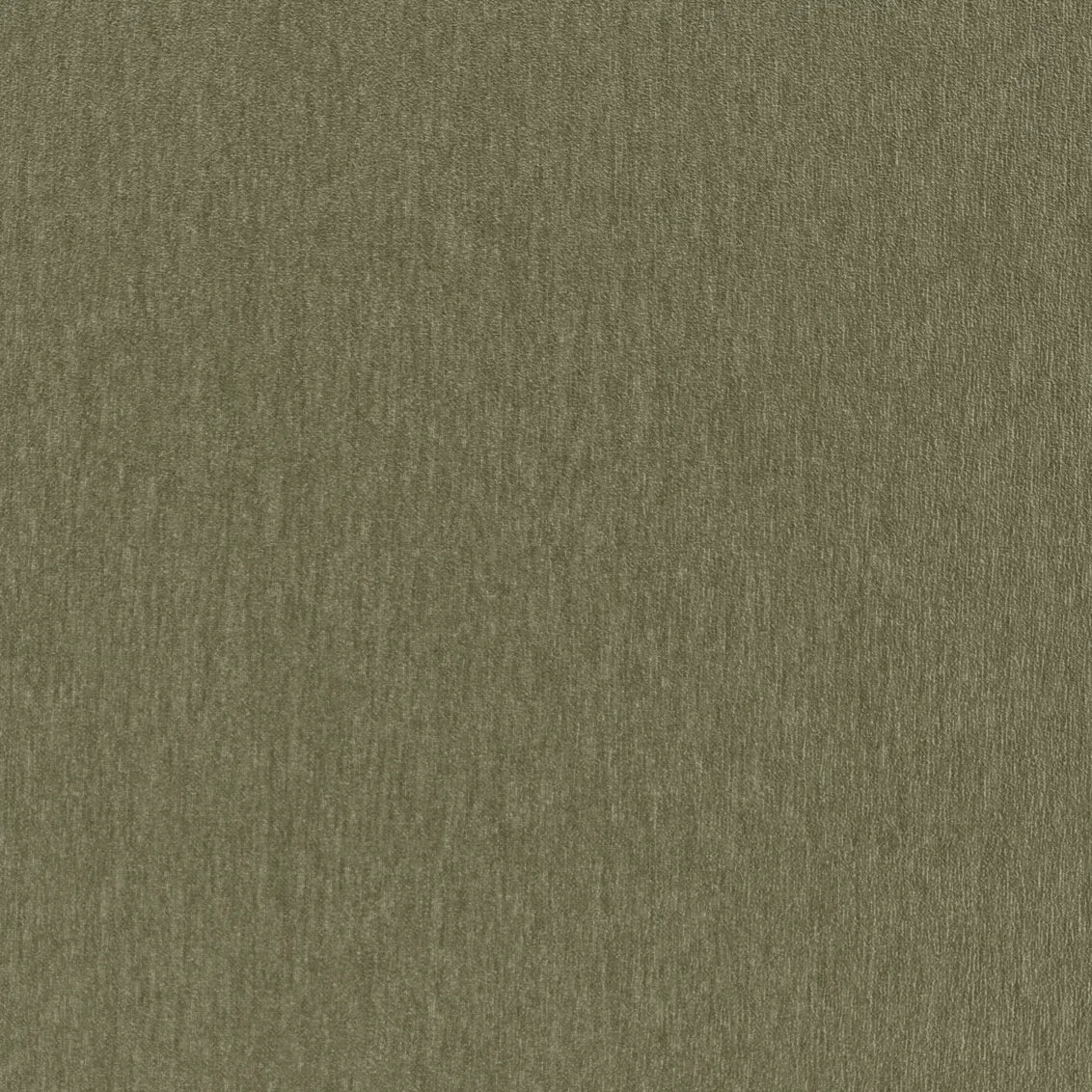 Amici Fern - What A Room