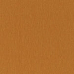 Amici Amber