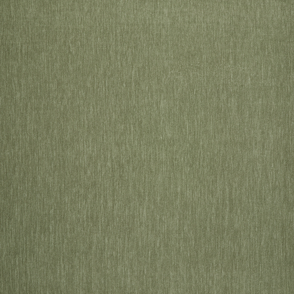 Amici Fern - What A Room