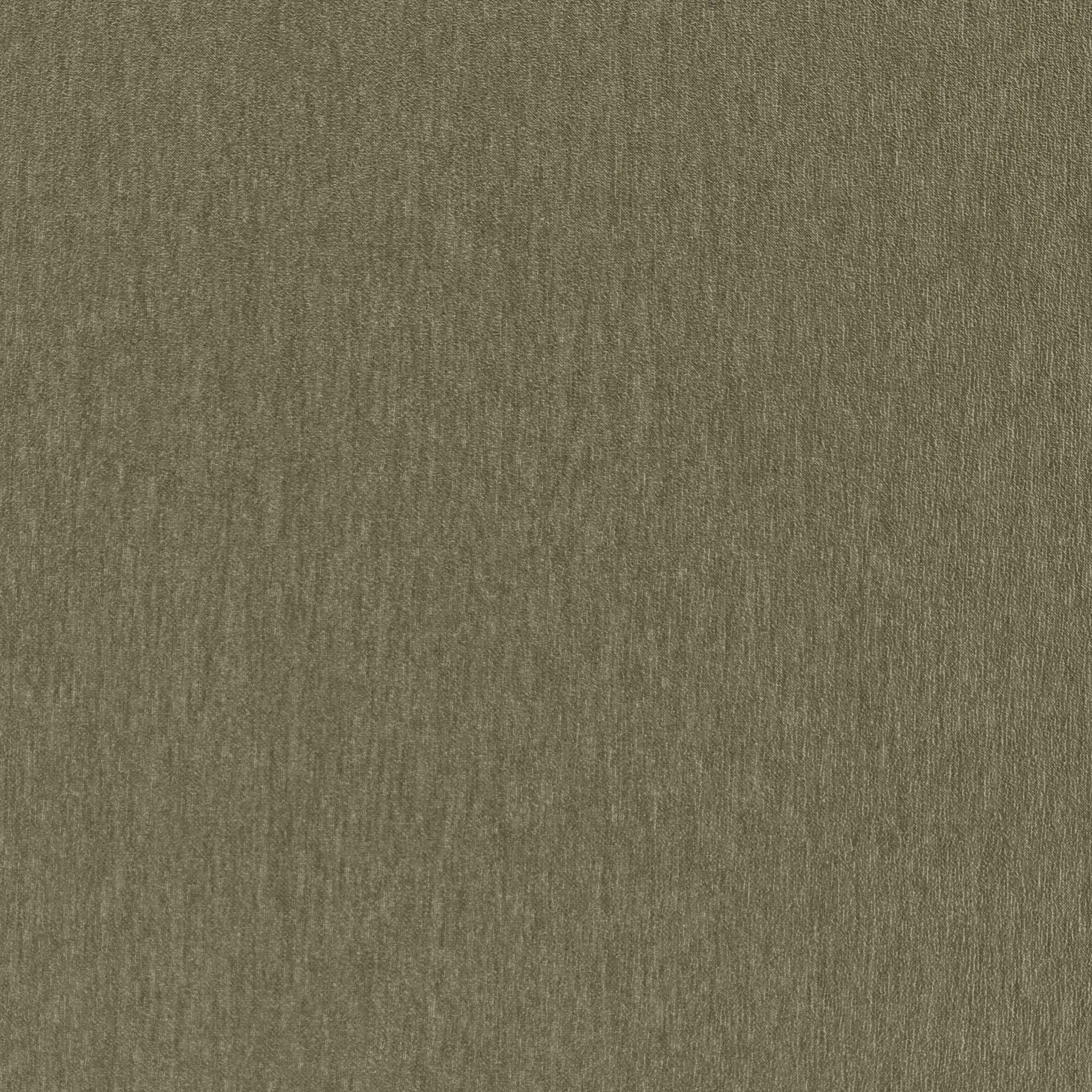 Amici Fern - What A Room