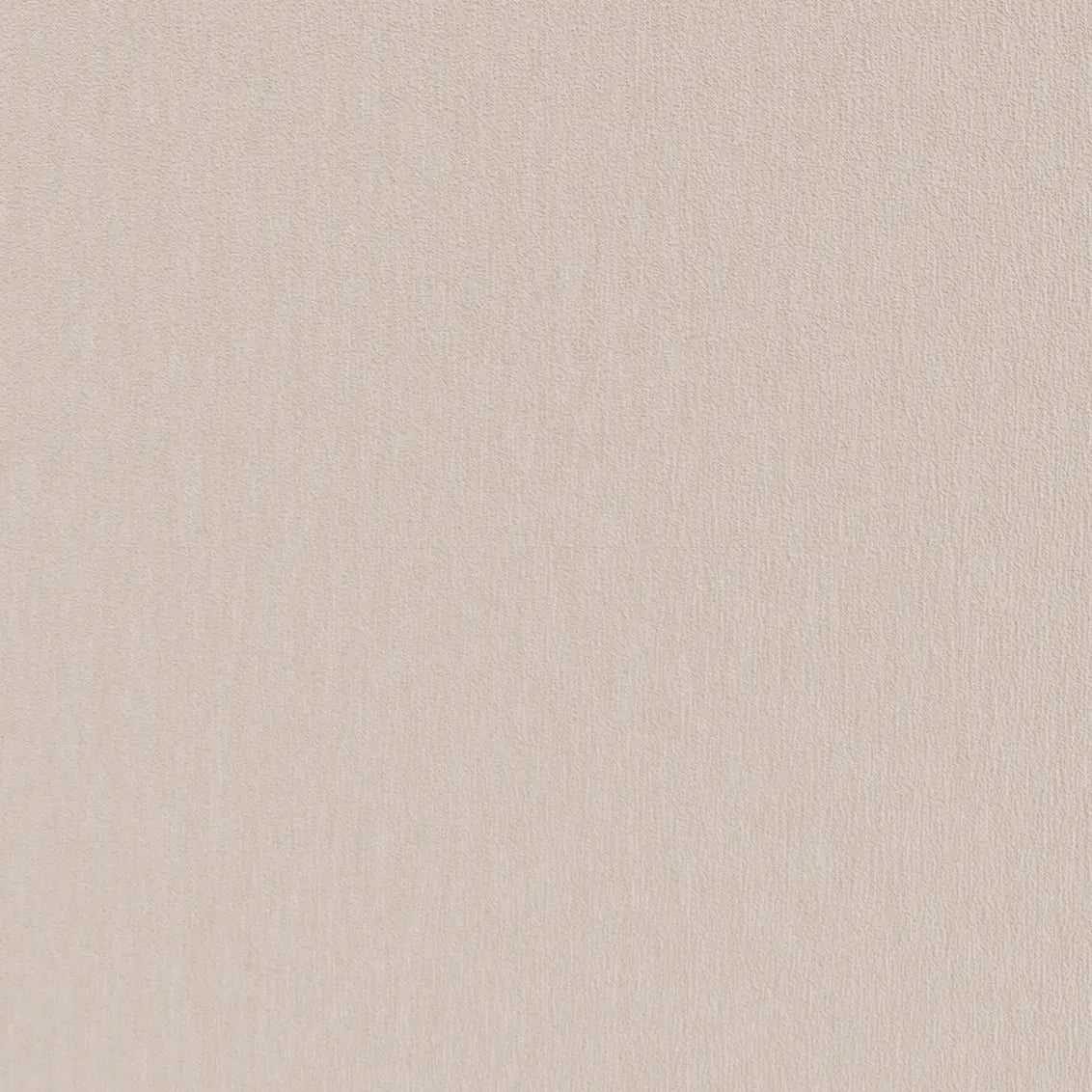 Amici Ivory - What A Room