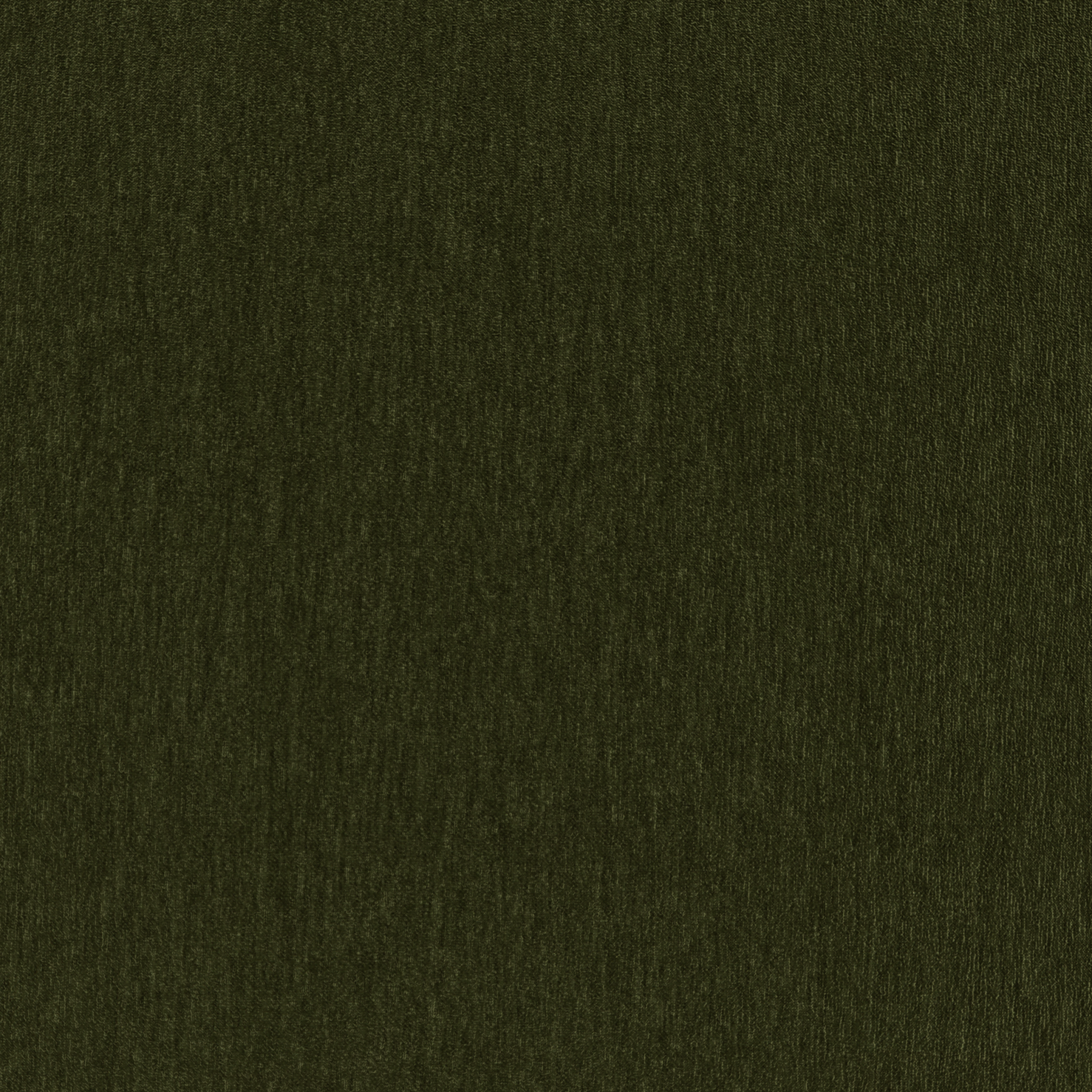 Amici Moss - What A Room