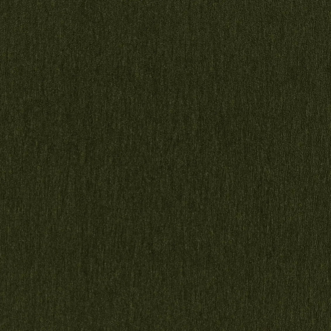 Amici Moss - What A Room