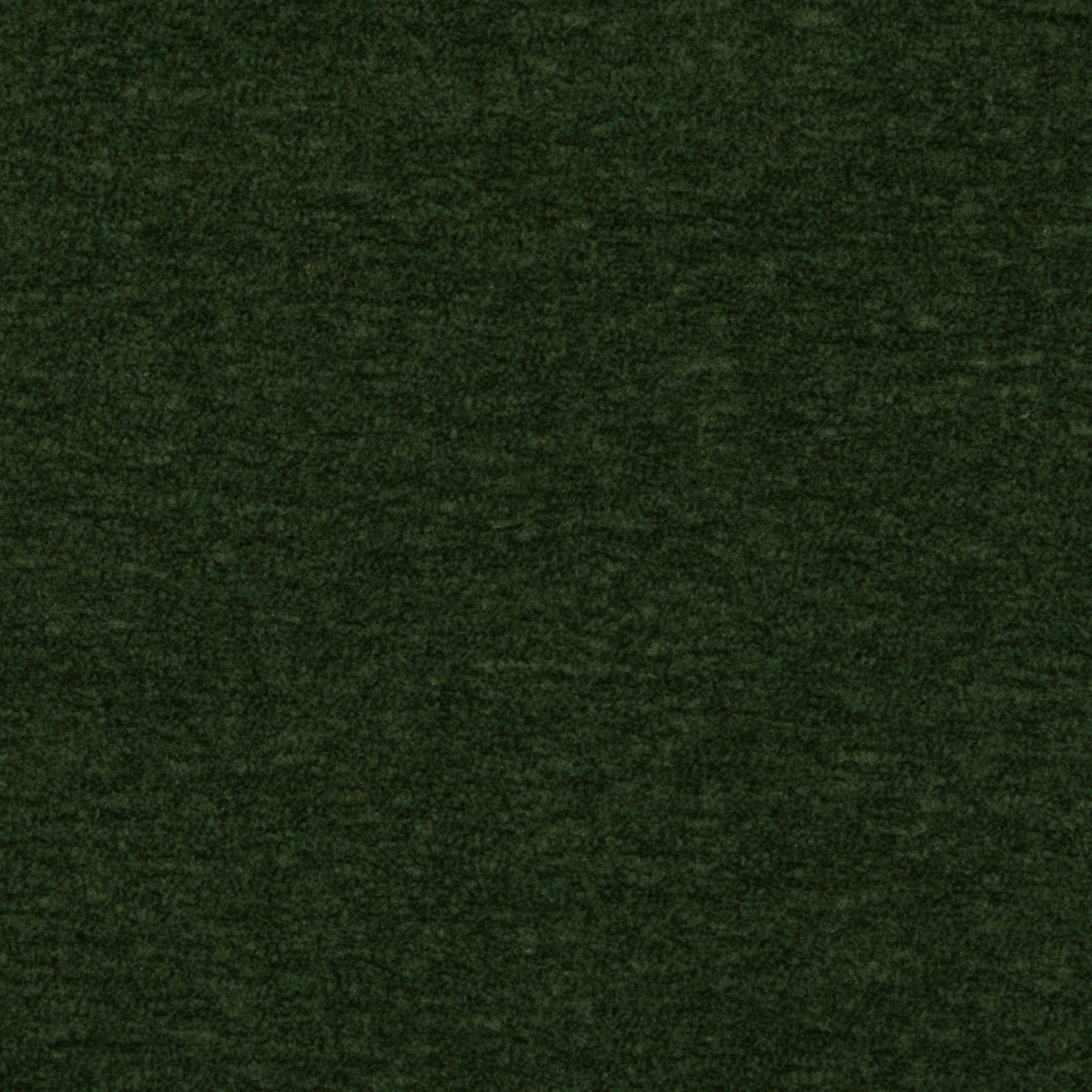 Apollo Clover - What A Room