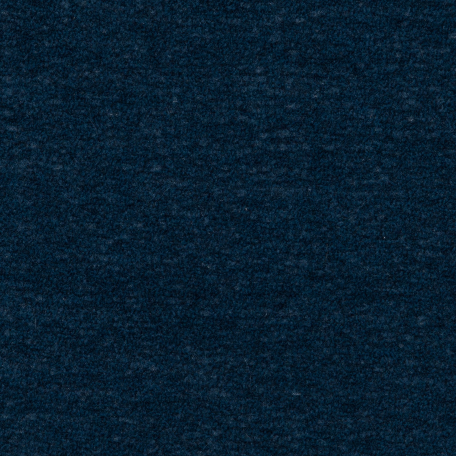 Apollo Indigo - What A Room