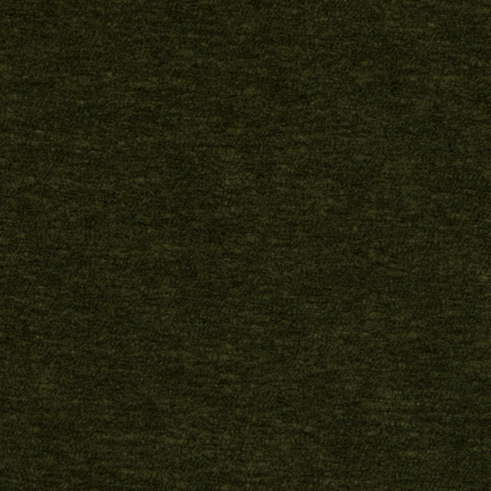 Apollo Moss - What A Room