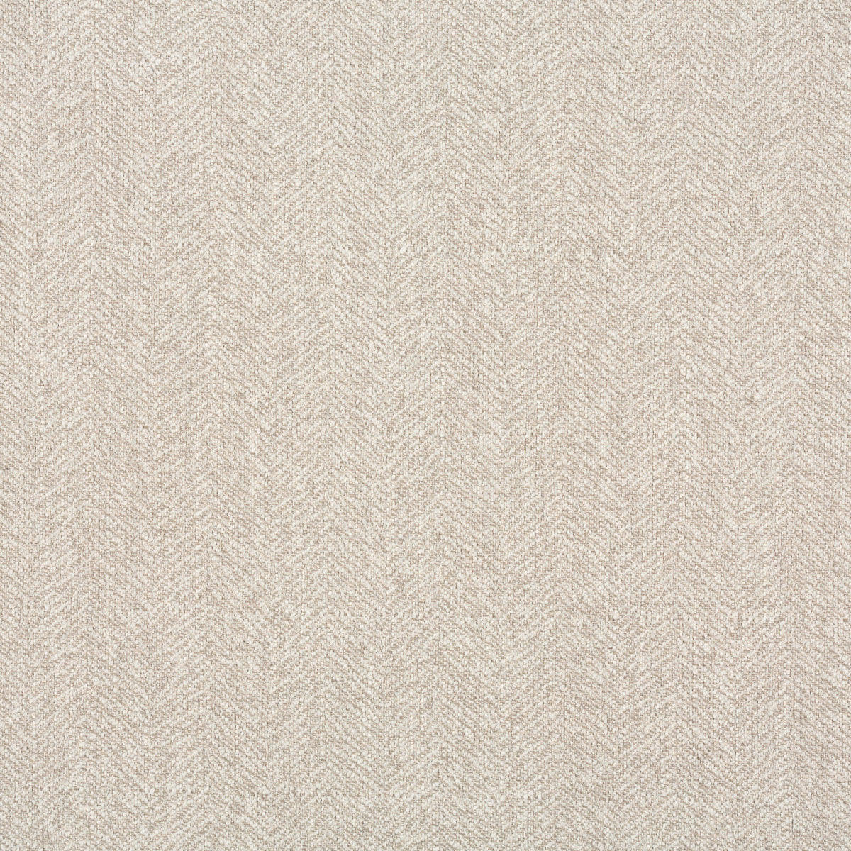 Ashfield Oyster - What A Room