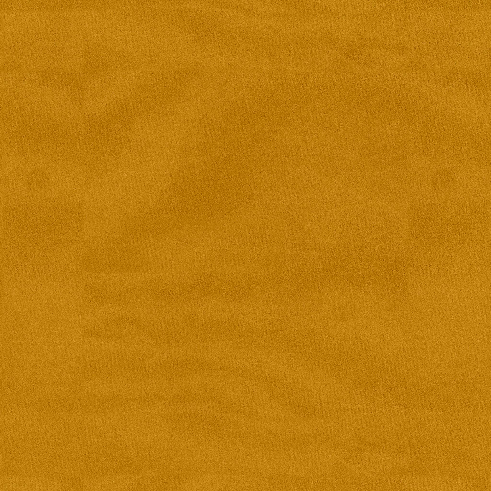 Bella Curry - What A Room