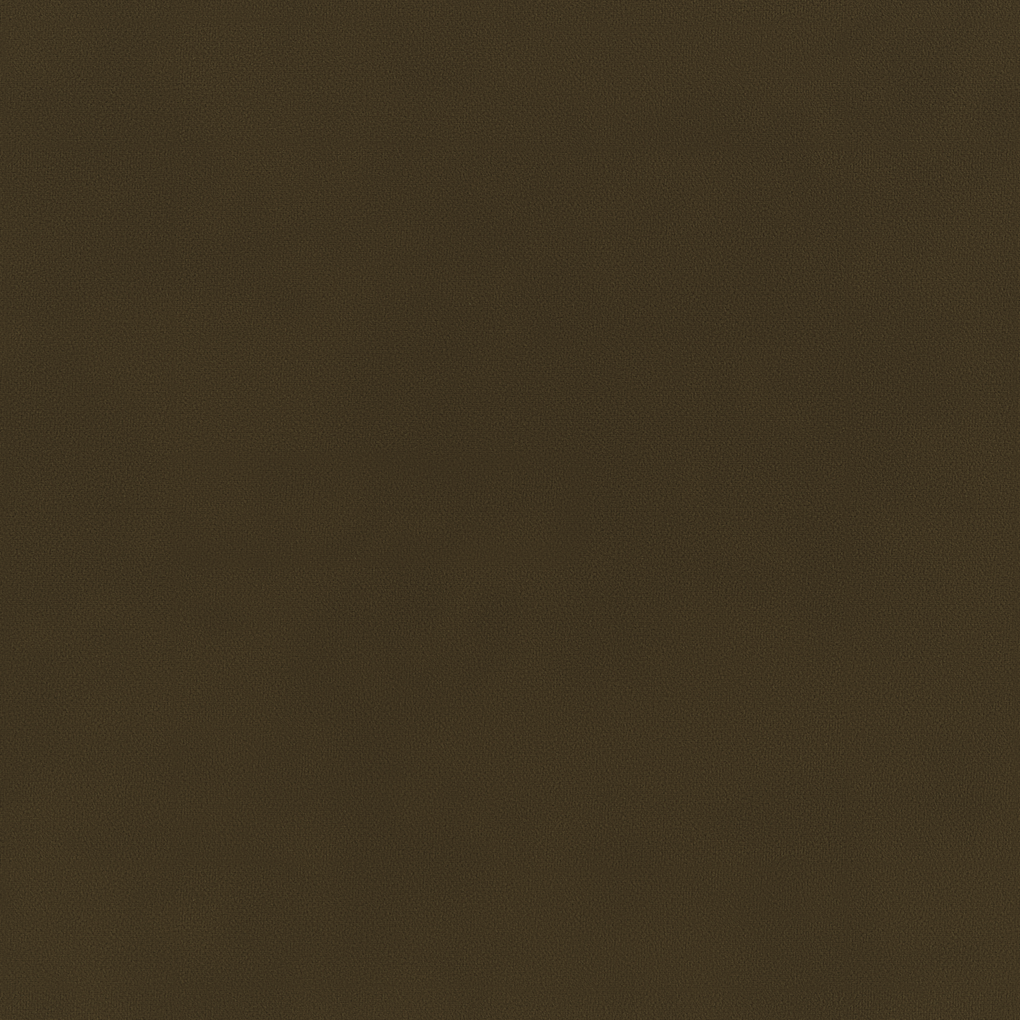 Bella Moss - What A Room