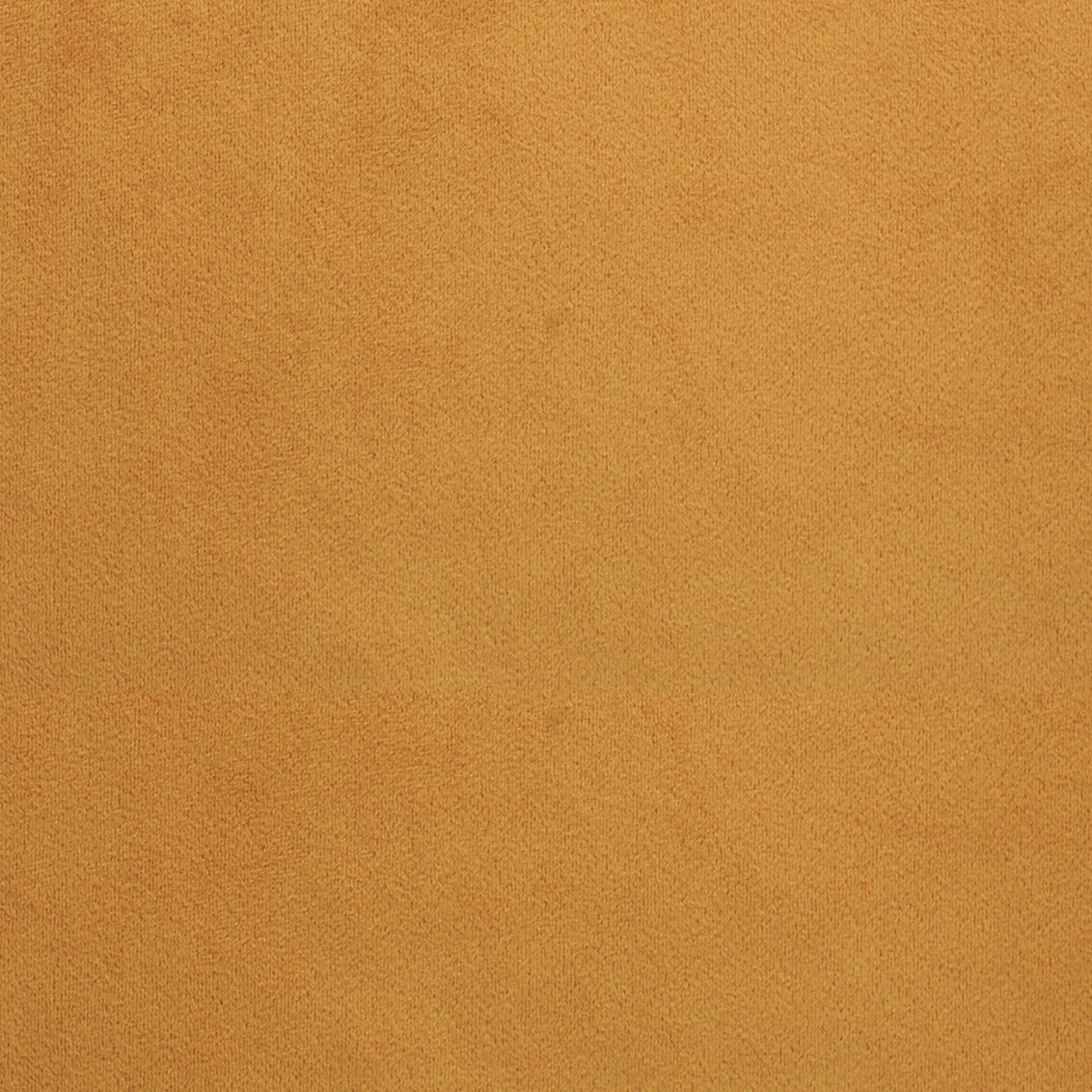 Bella Curry - What A Room