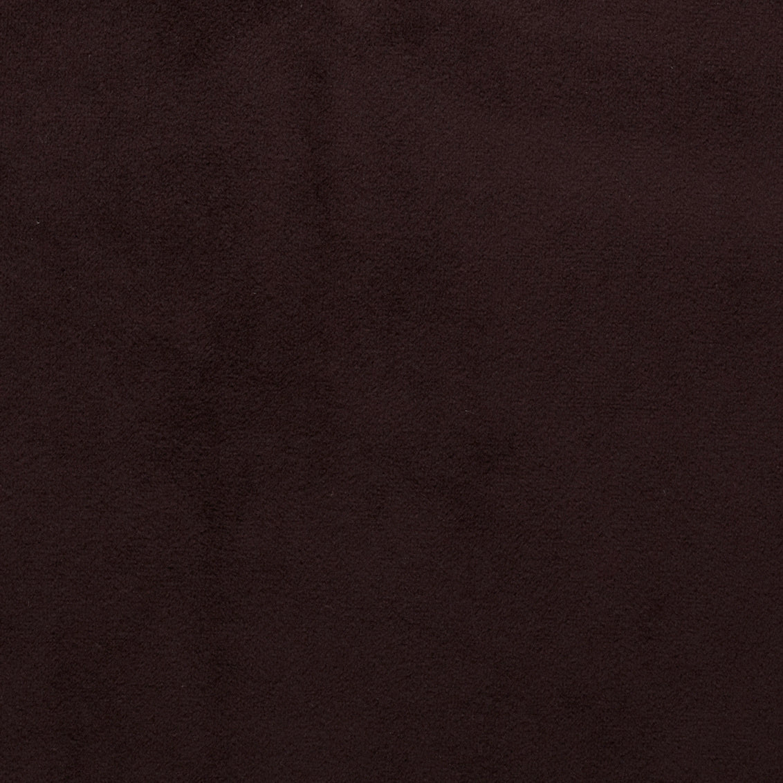 Bella Grape - What A Room