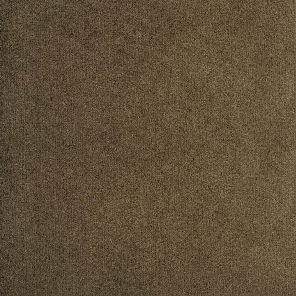 Bella Moss - What A Room