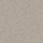 Clarkson Sand - What A Room