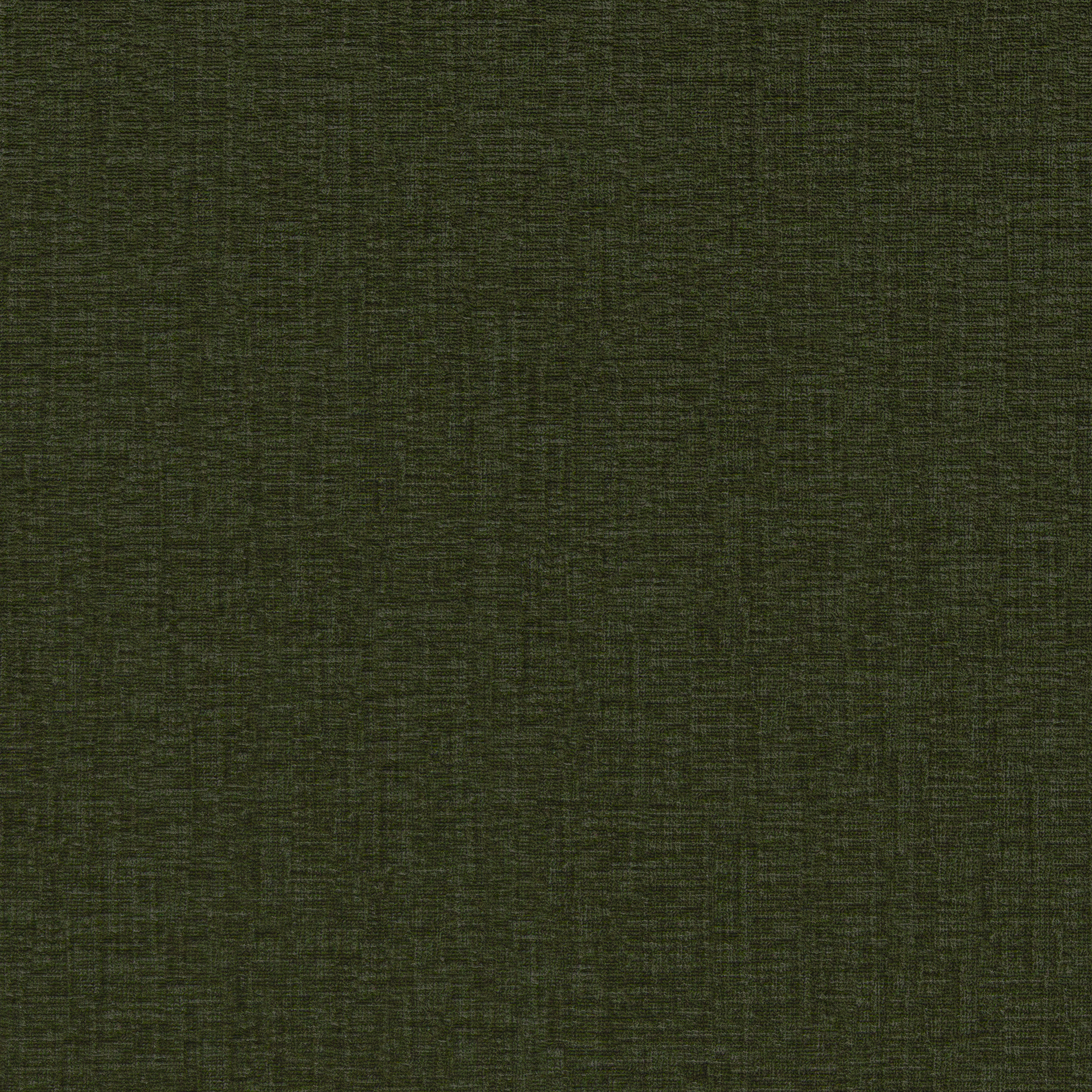 Contessa Moss - What A Room