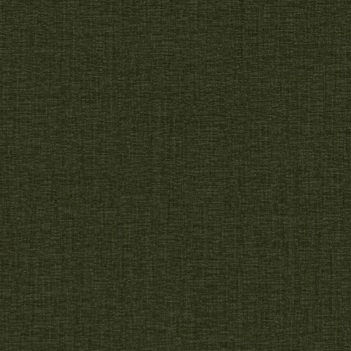 Contessa Moss - What A Room