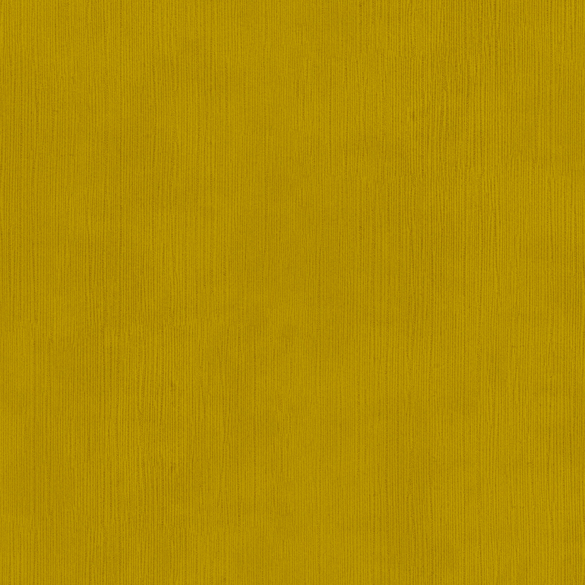 Empire III Curry - What A Room