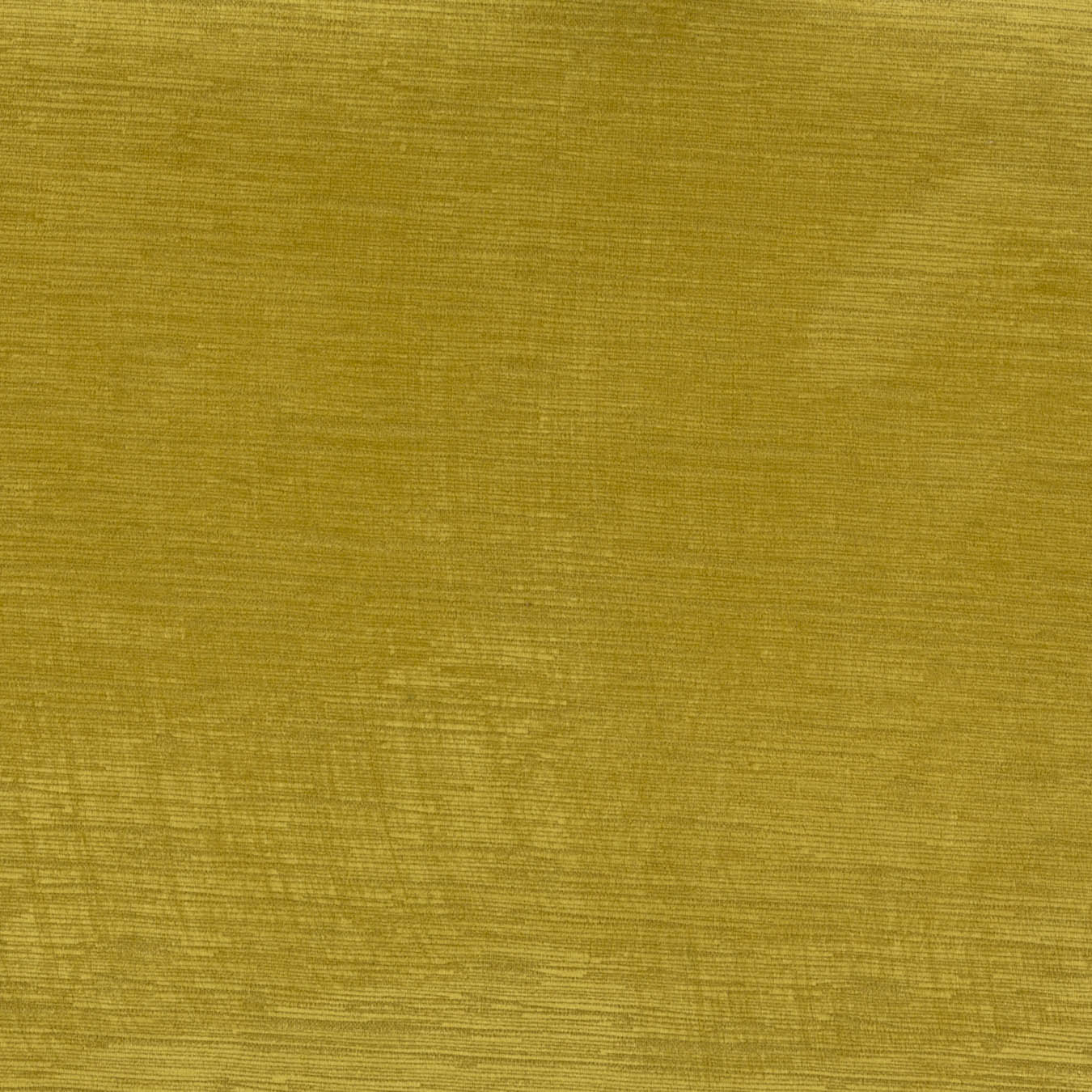 Empire III Curry - What A Room